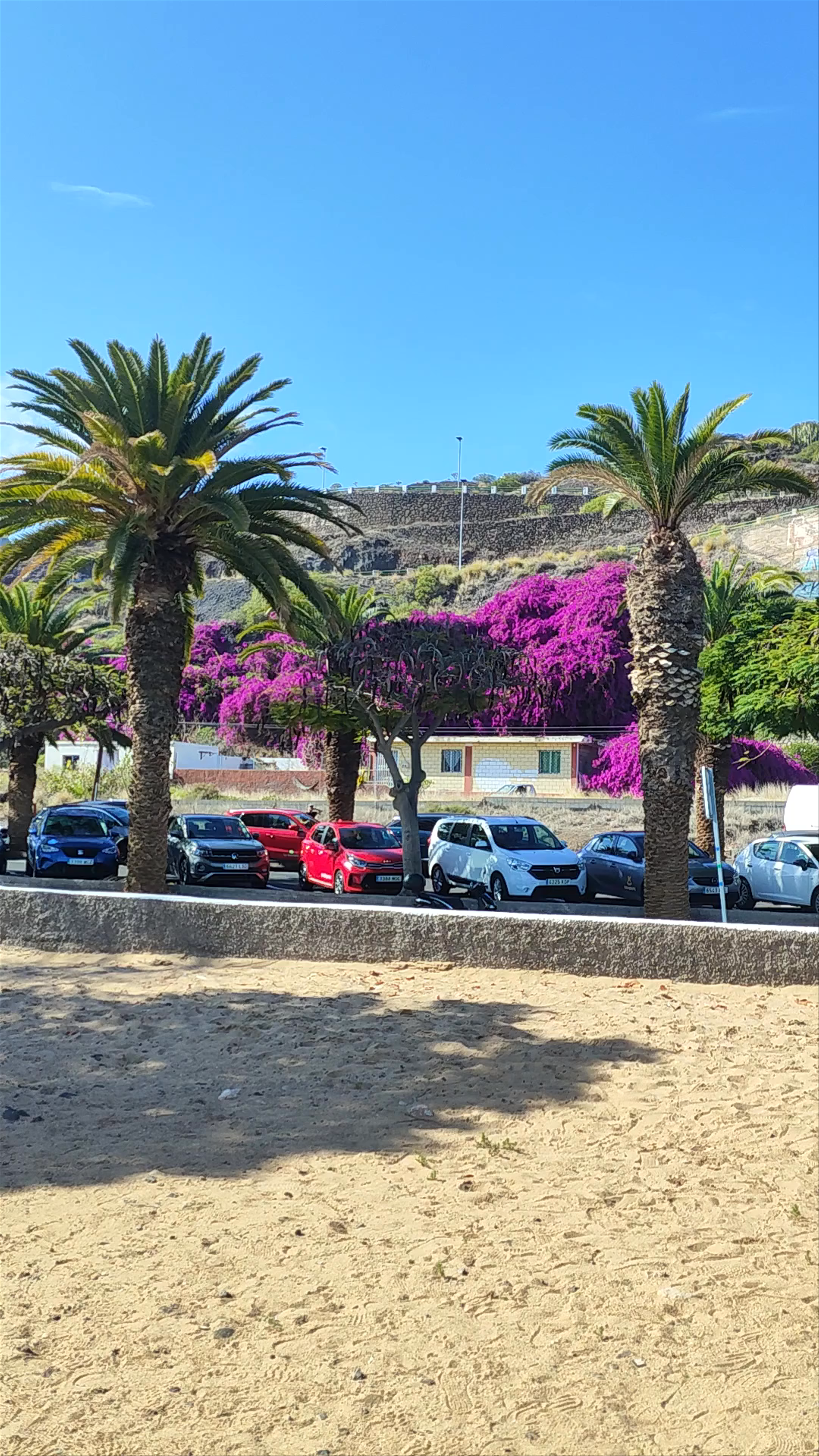 Playa de Las Teresitas