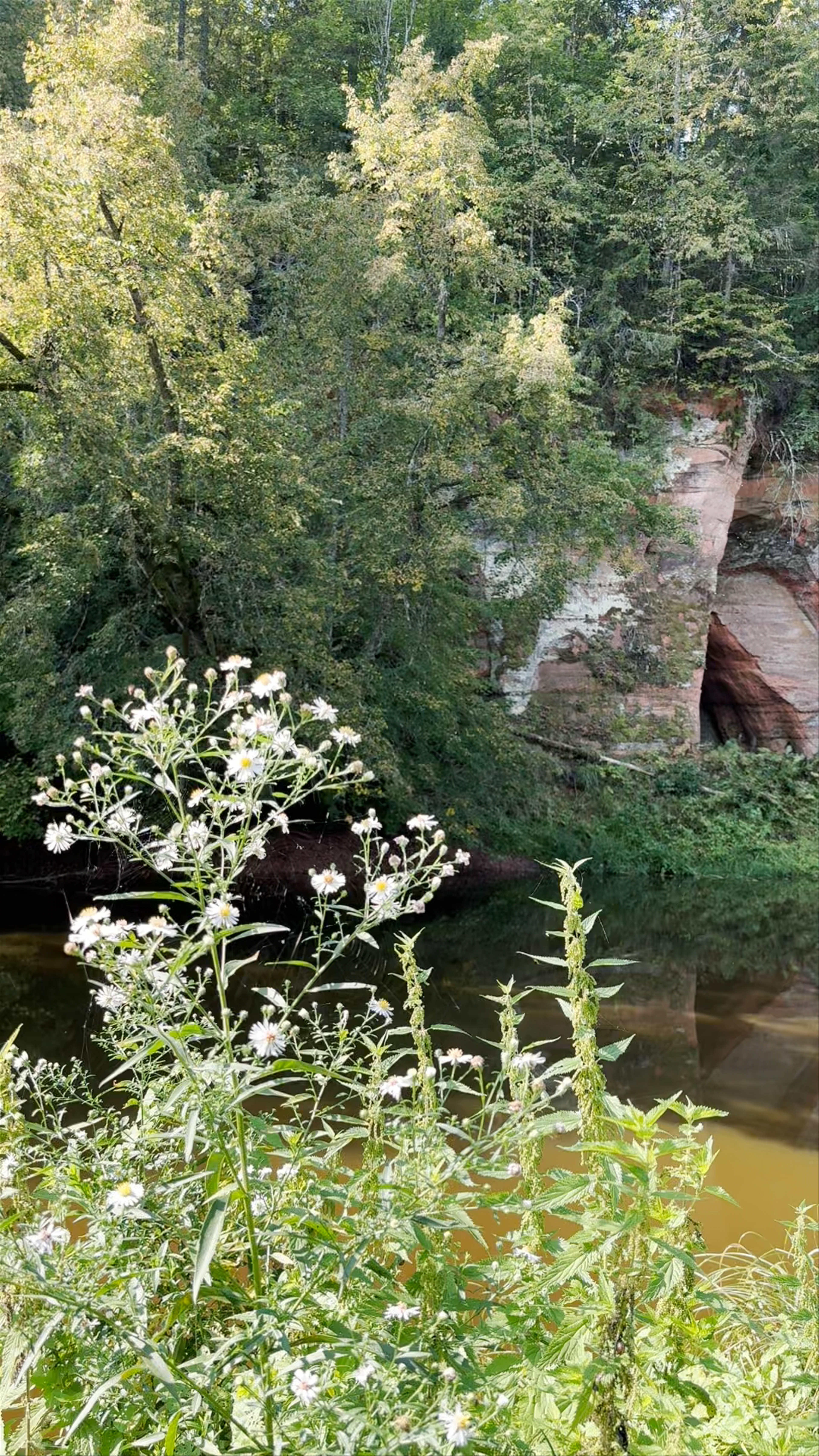 Salacas Avotkalni - аренда лодок и отдых на берегу реки Салацы