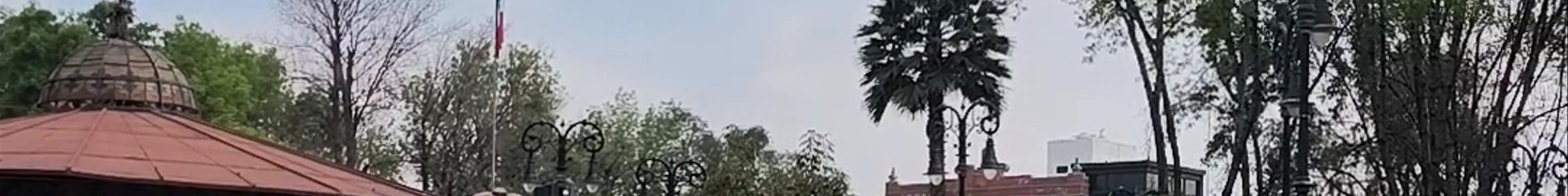 Tours & experiences in Coyoacán