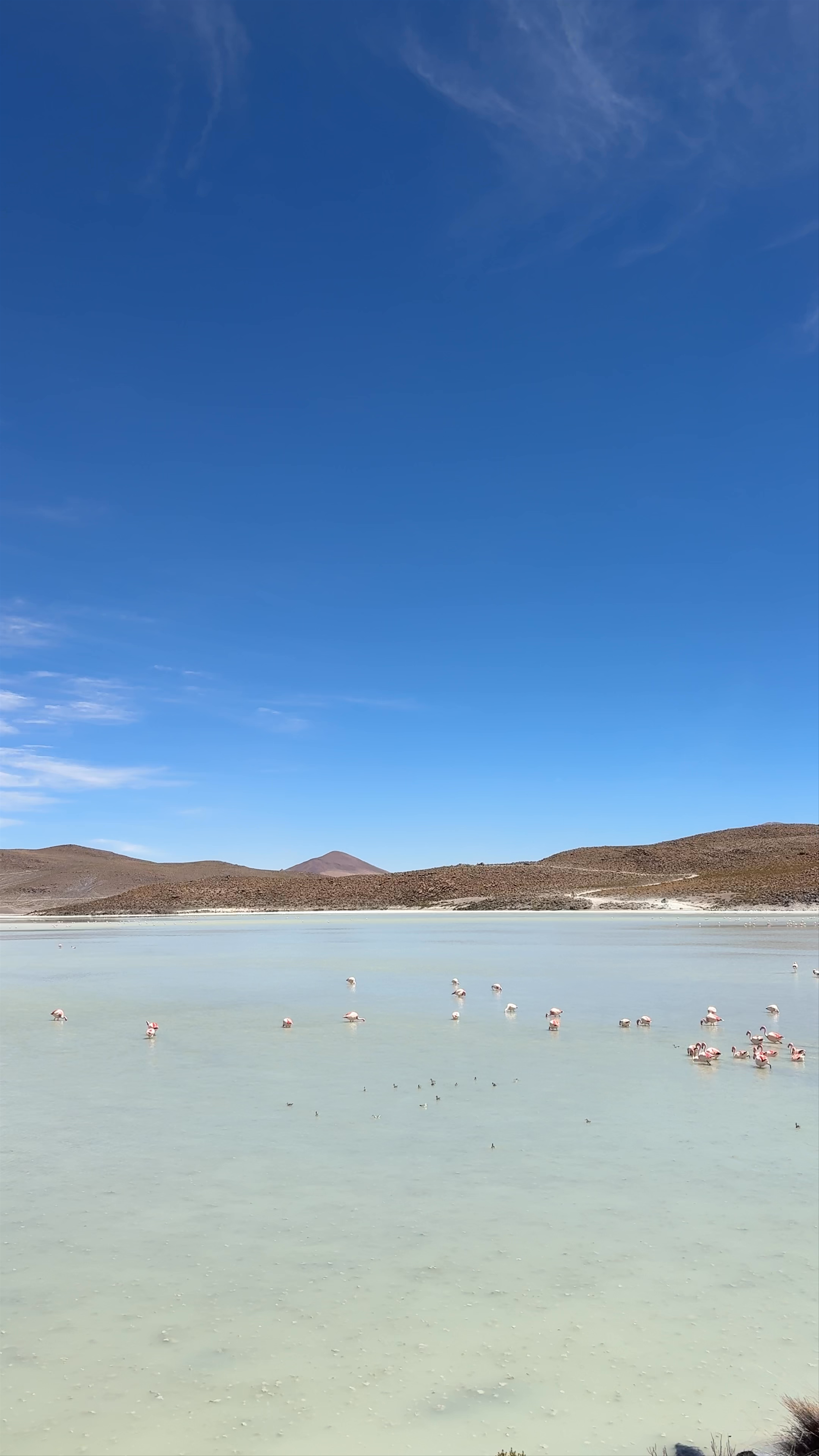 Ventanitas Restaurant at Hedionda Lagoon