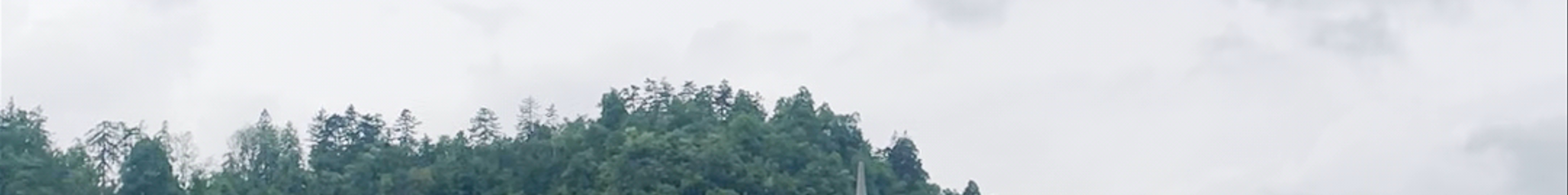 Tours & experiences in Bled