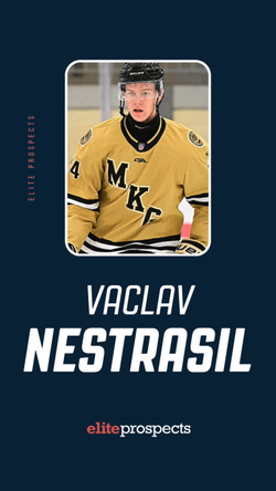 Vaclav Nestrasil: Highlights from the Chicago Blackhawks’ First-Round Pick