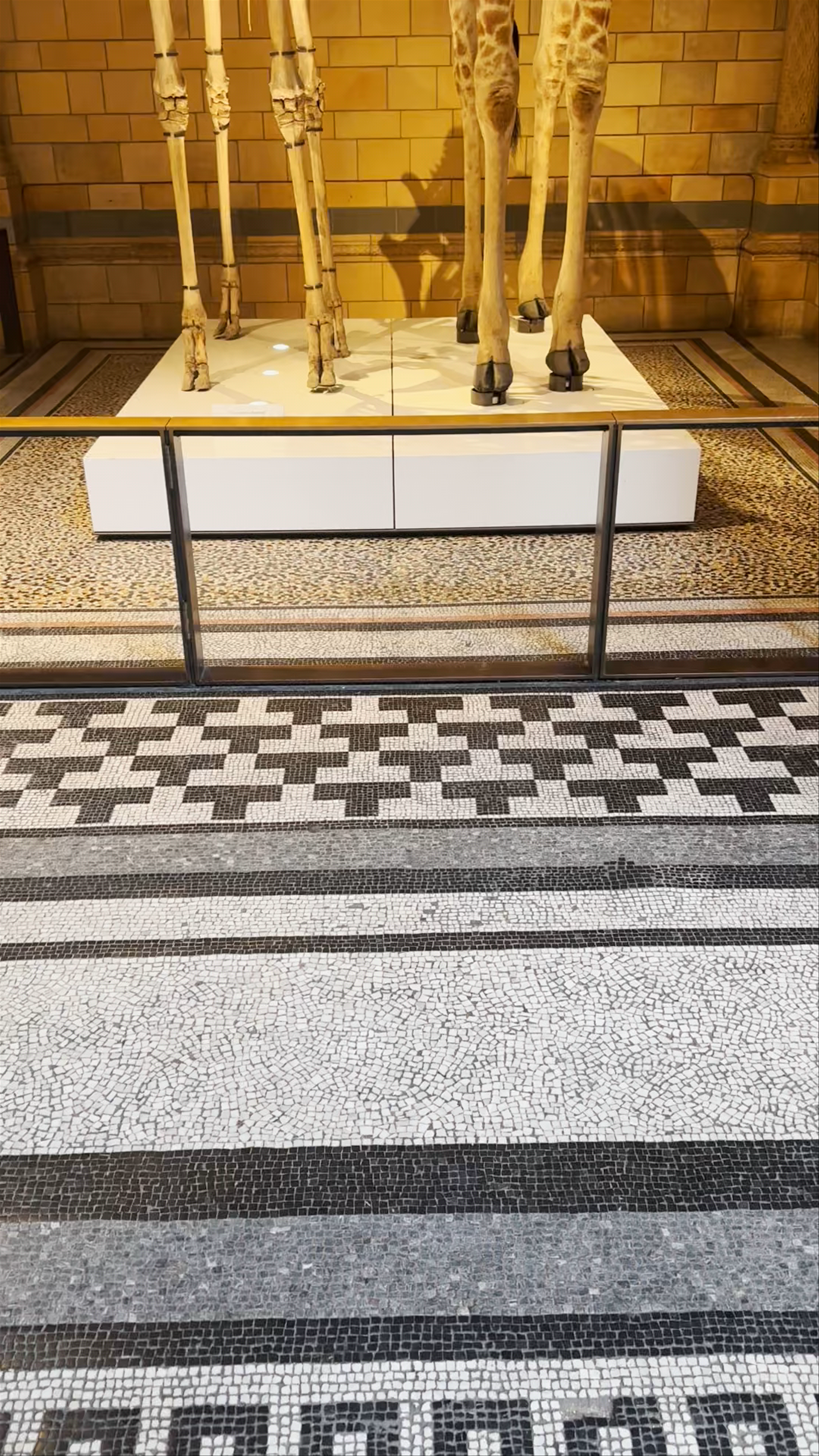 Natural History Museum