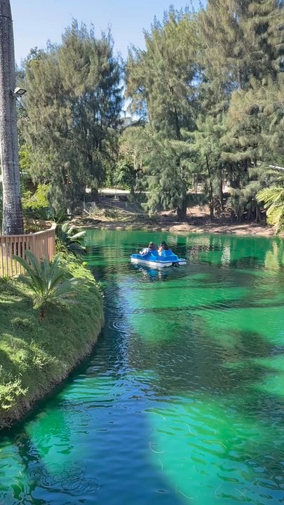Pinto's Farm - Charming surroundings for paddle boat riding here at Pinto's Farm. - Venues & Event Spaces Near Me - Miami, Florida