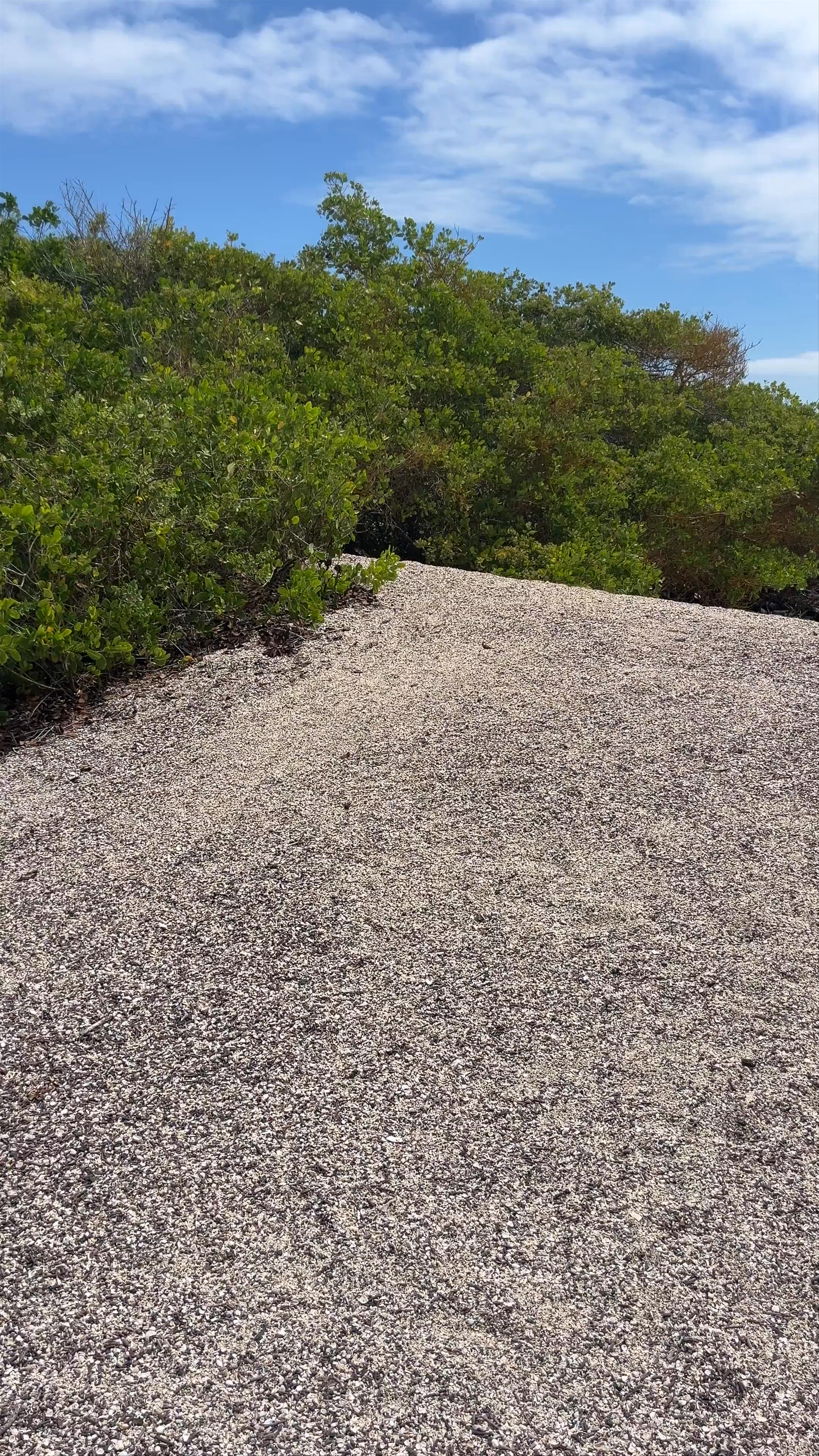 Playa Del amor