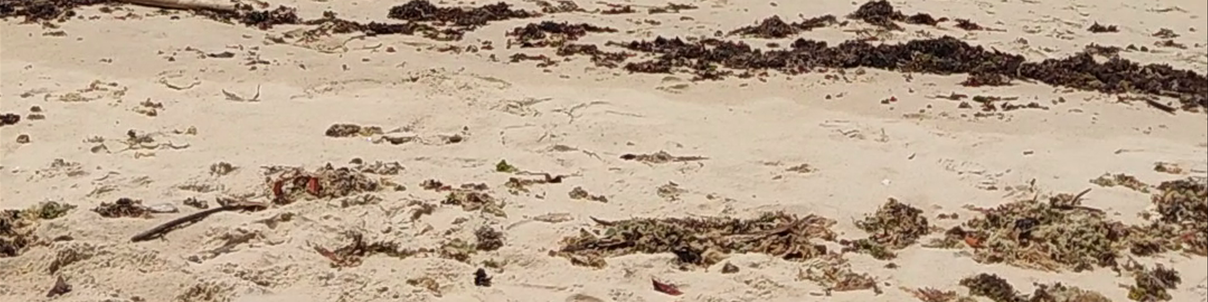 Tibau do Sul