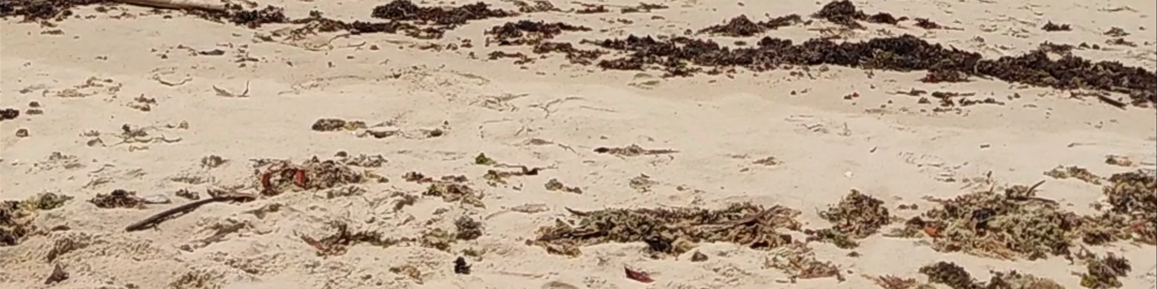 Praia do Madeiro - RN-003