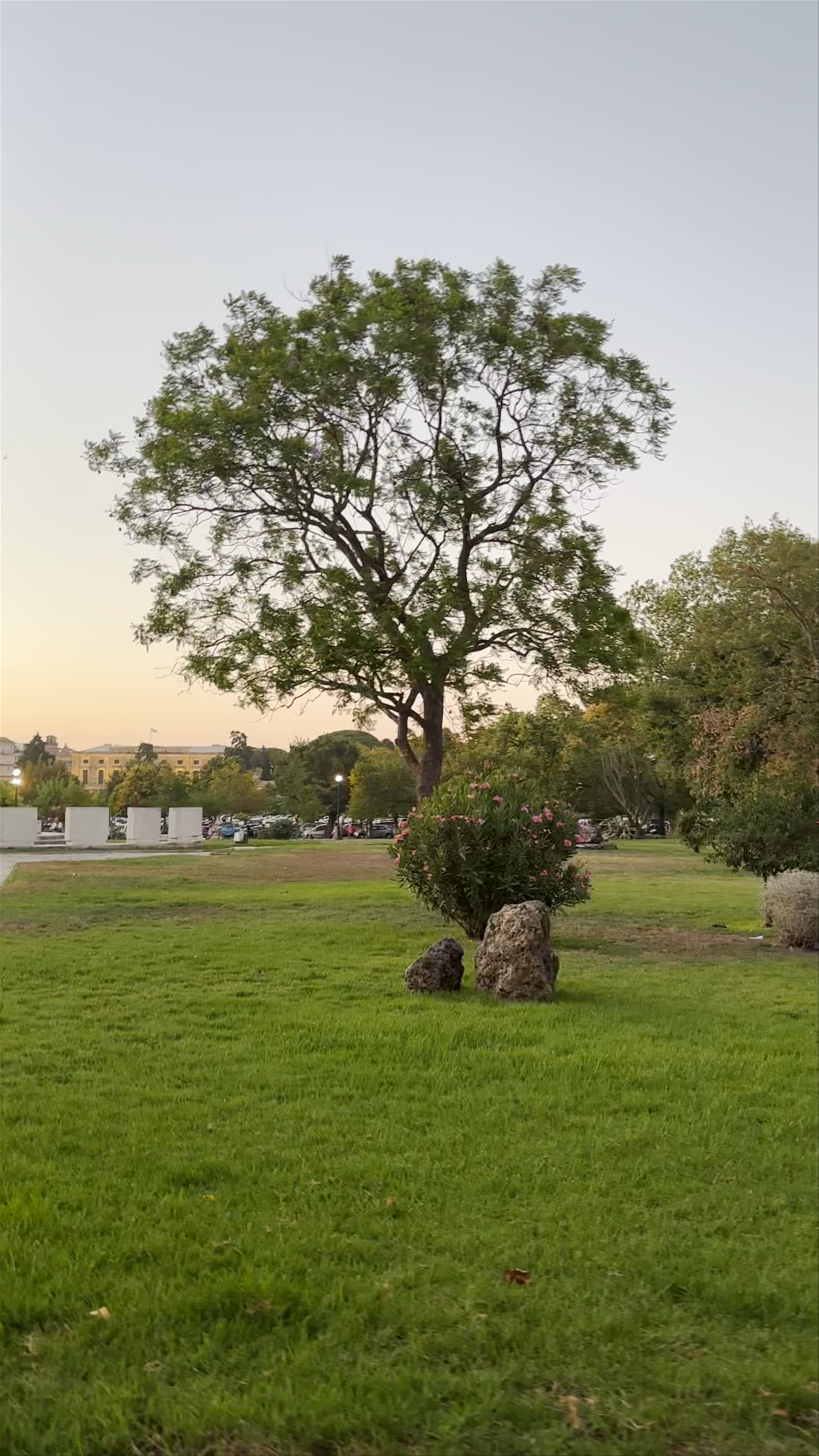 Evening Serenity at Pl. Leonida Vlachou, Corfu Village Park