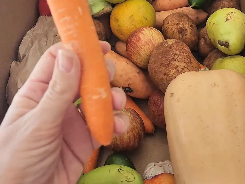 Funky Food