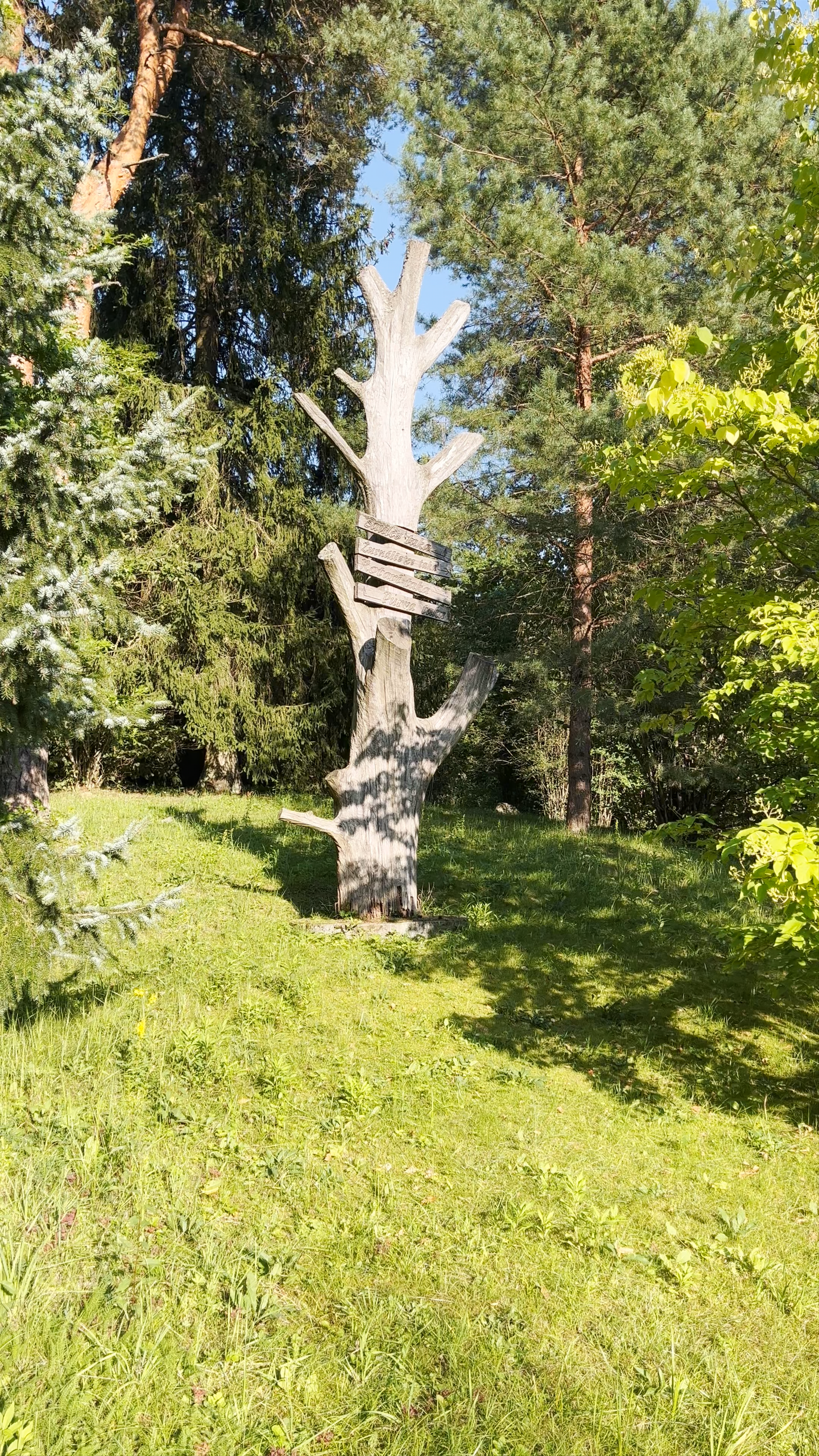 Serene Walk in Парк Шпаковского, Ogre – A Hidden Nature Escape in Latvia