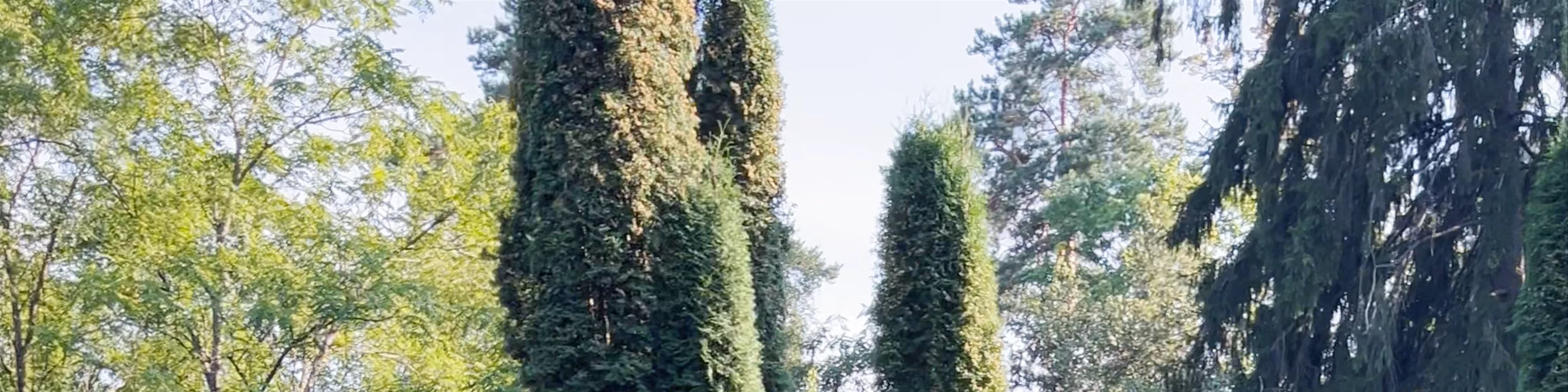 Shpakovsky Park