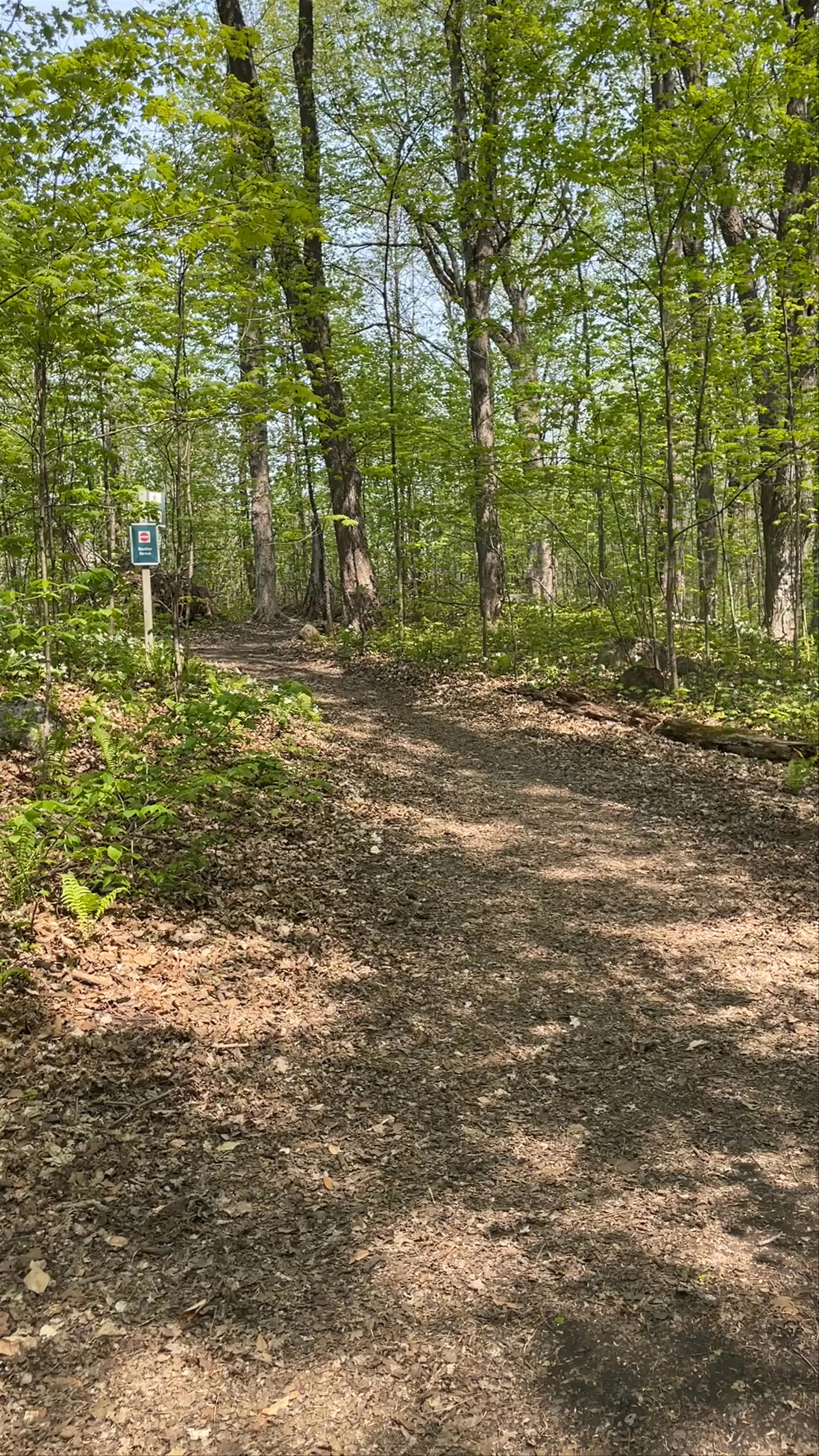 Bois-de-Liesse Nature Park