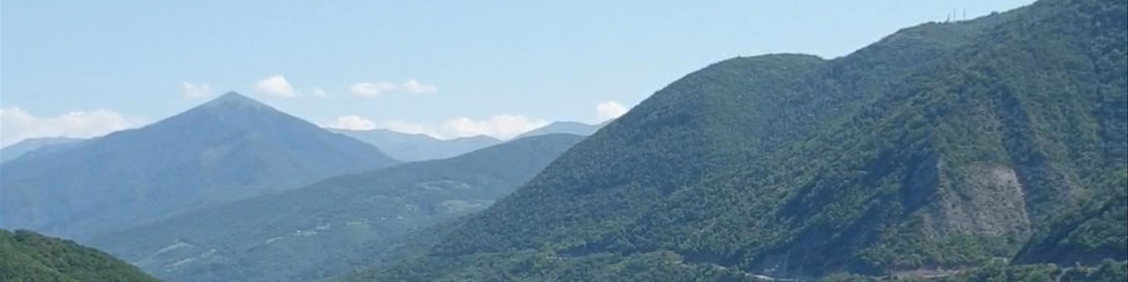 Zhinvali
