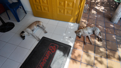 Sous le soleil de Tatacoa