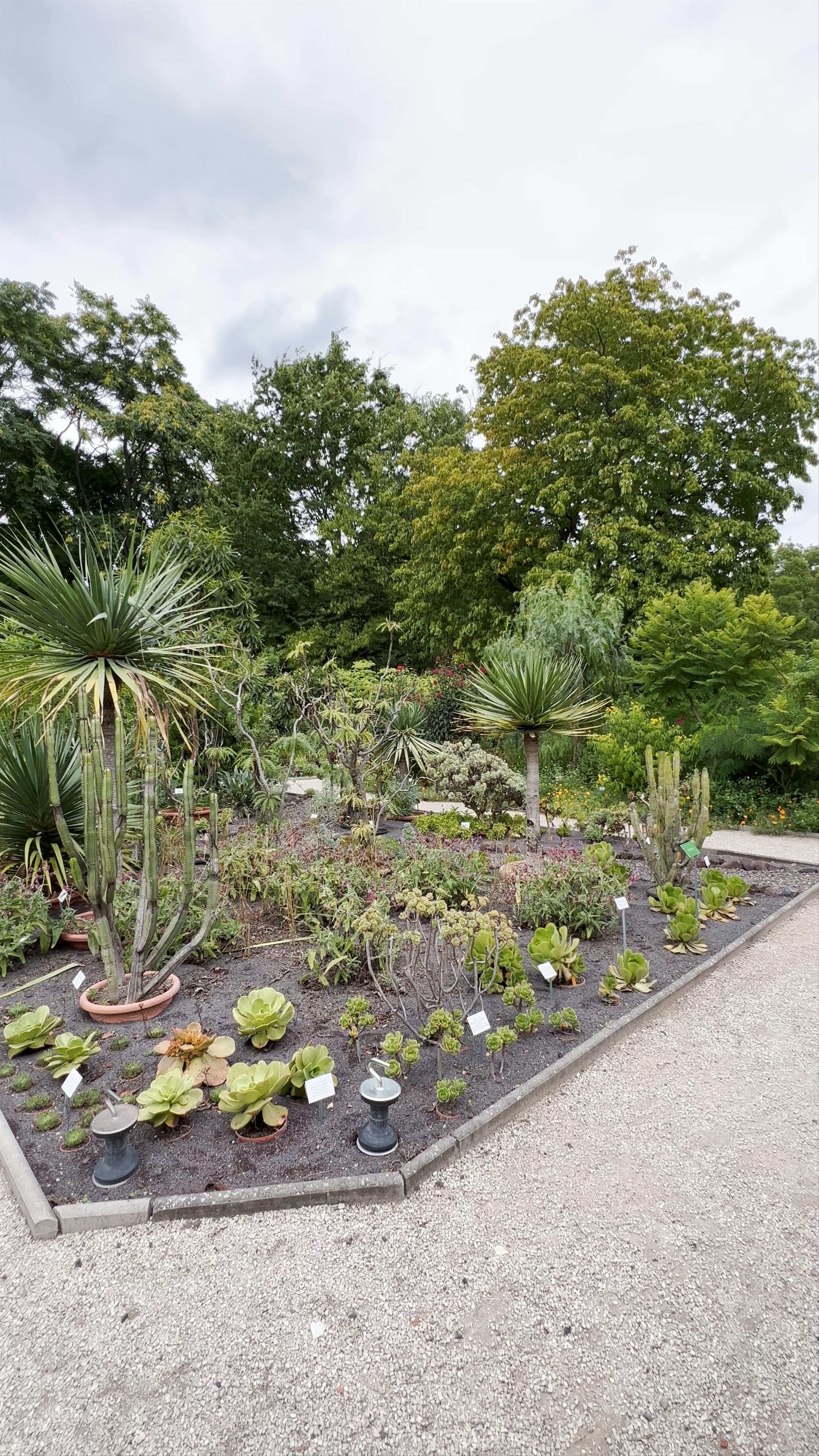 Botanischer Garten Frankfurt