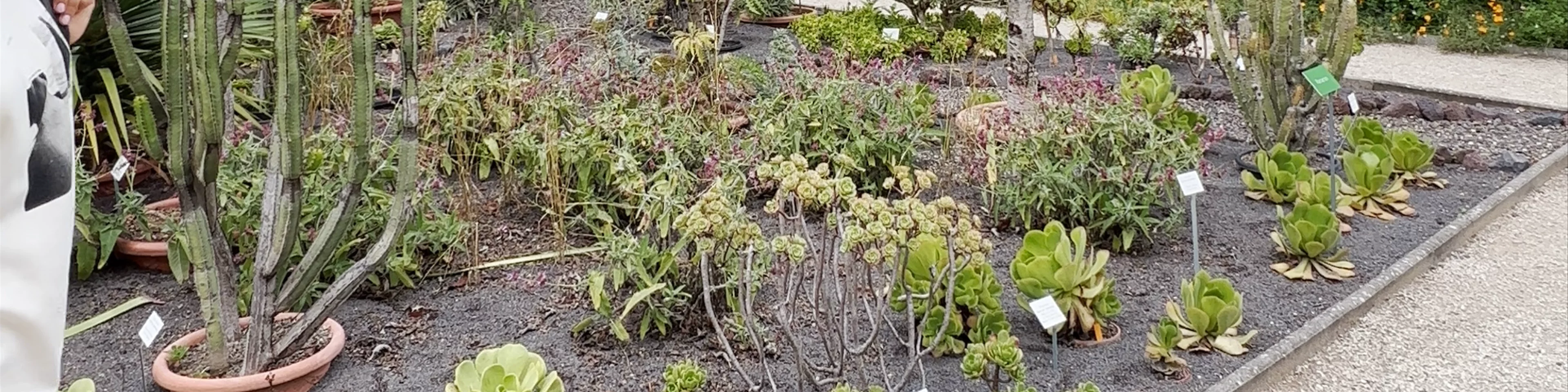 Botanischer Garten Frankfurt