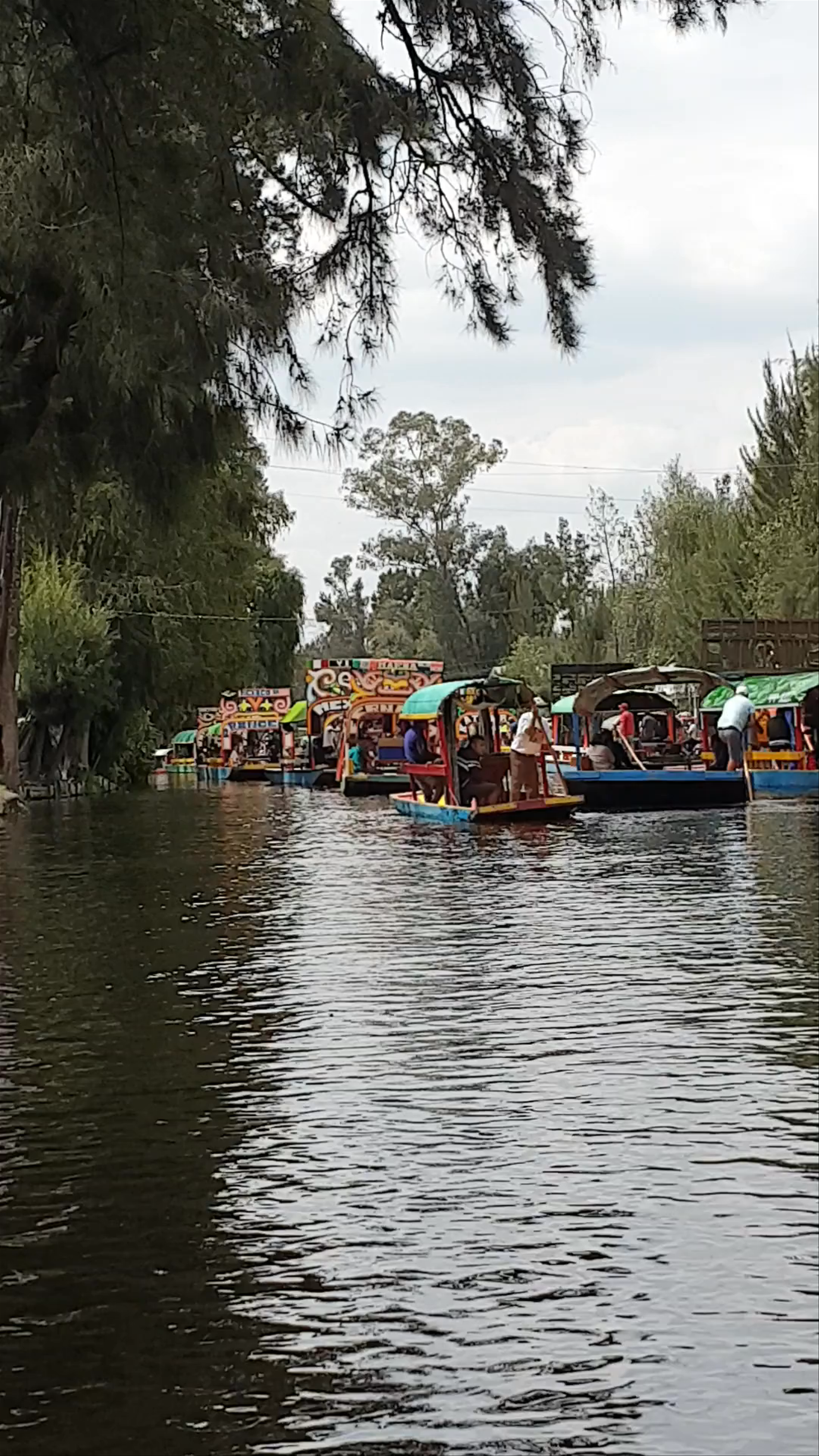 Xochimilco Embarcaderos: Colorful Canals and Floating Gardens in Mexico City