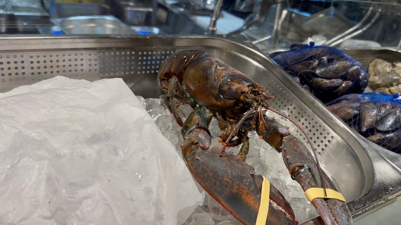 Mercato Mayfair - Lots of fresh items to choose from. Bring and empty stomach and wear your stretchy pants! - Pop-Up Restaurants Near Me - London, XGL
