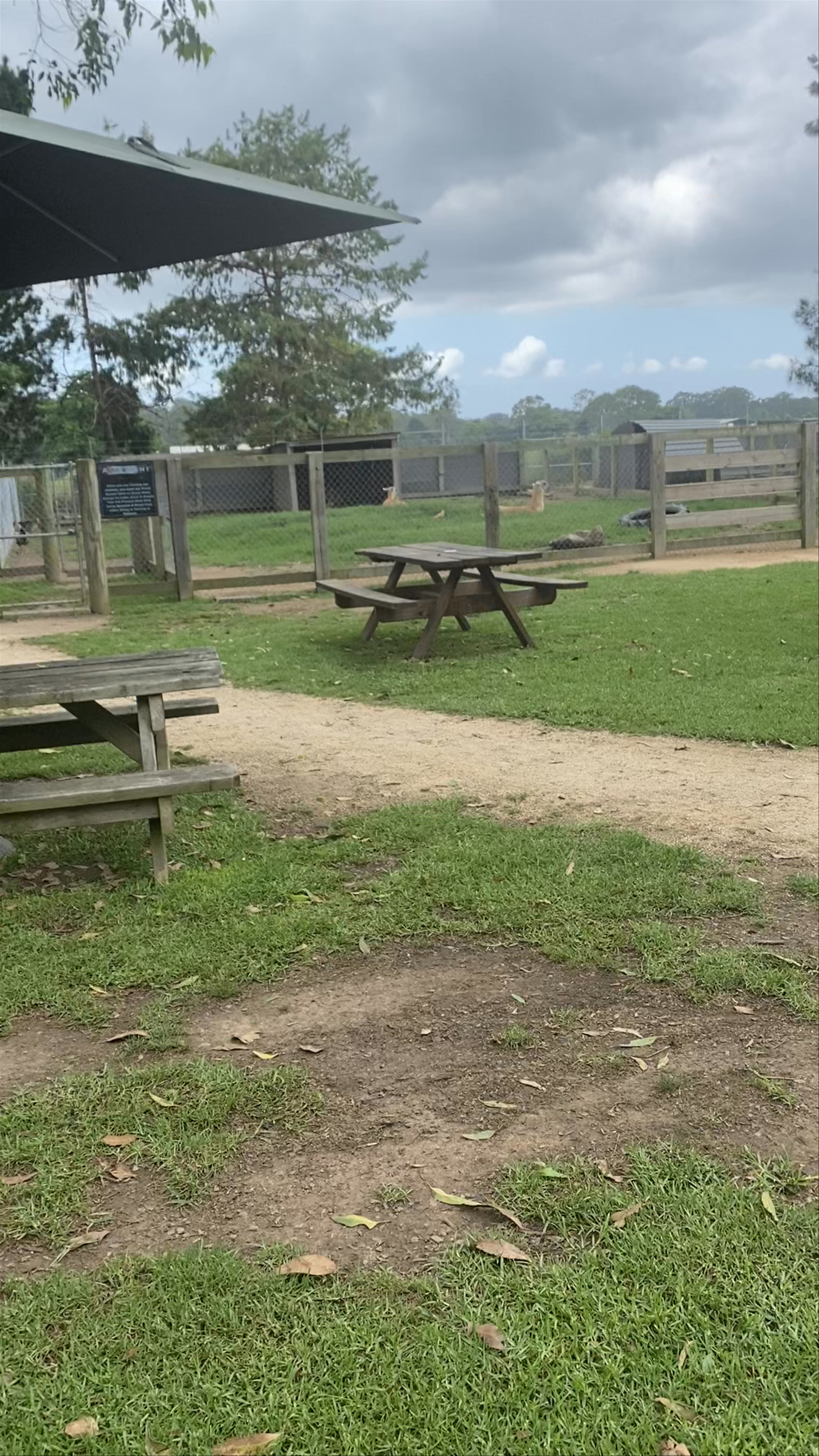 'Amazement' Farm & Fun Park