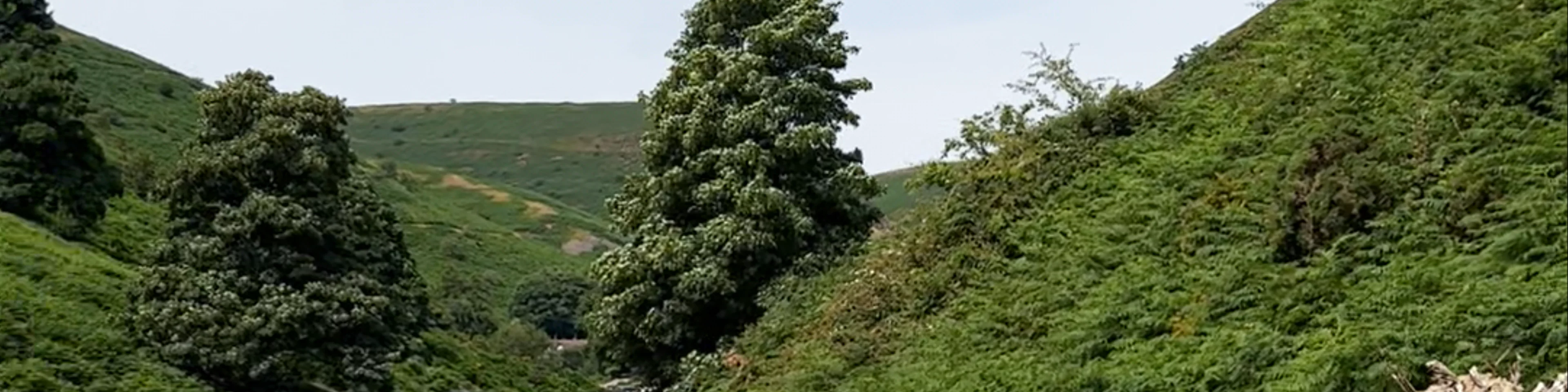 Long Mynd
