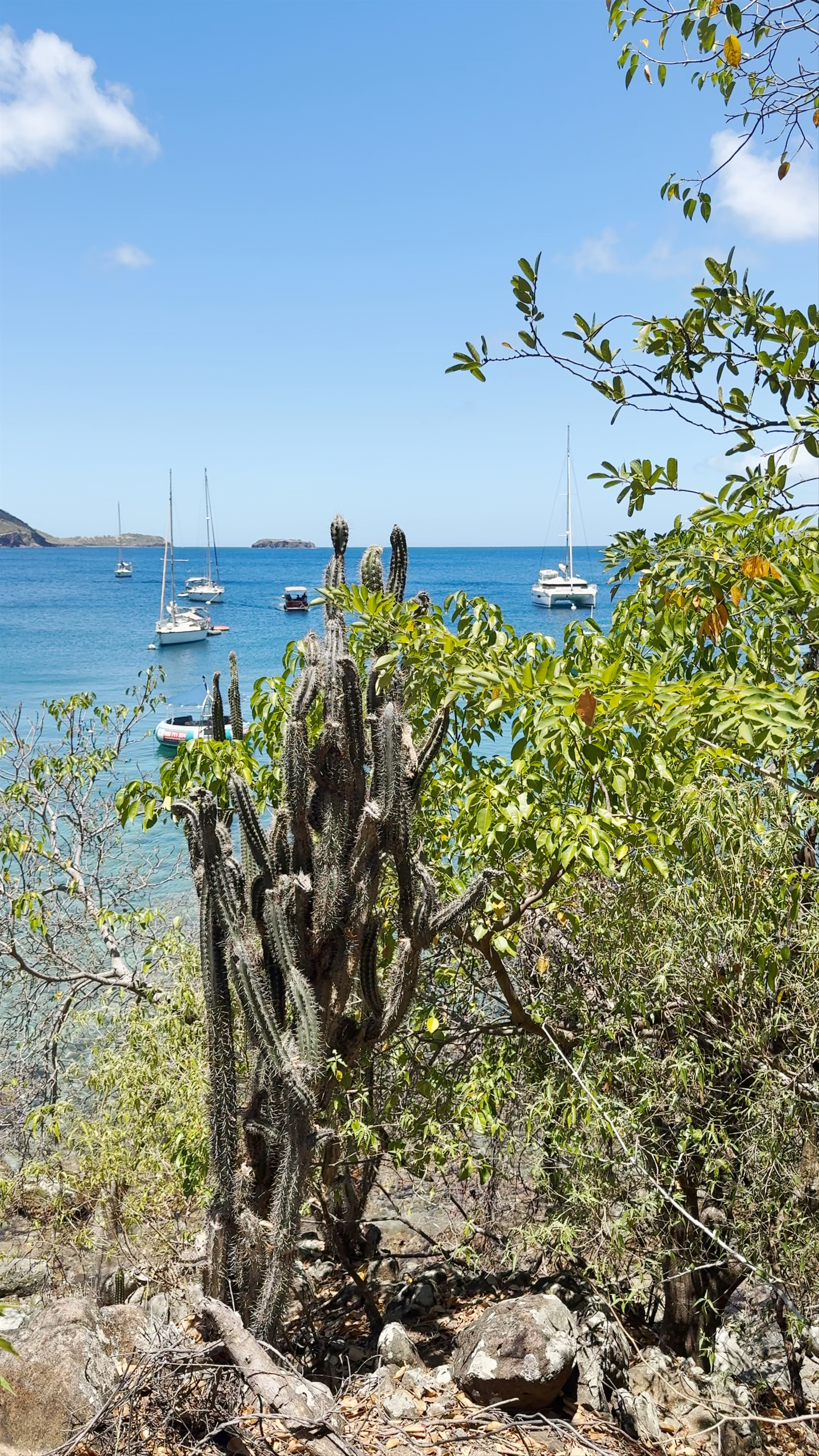 Plage du Pain-de-Sucre