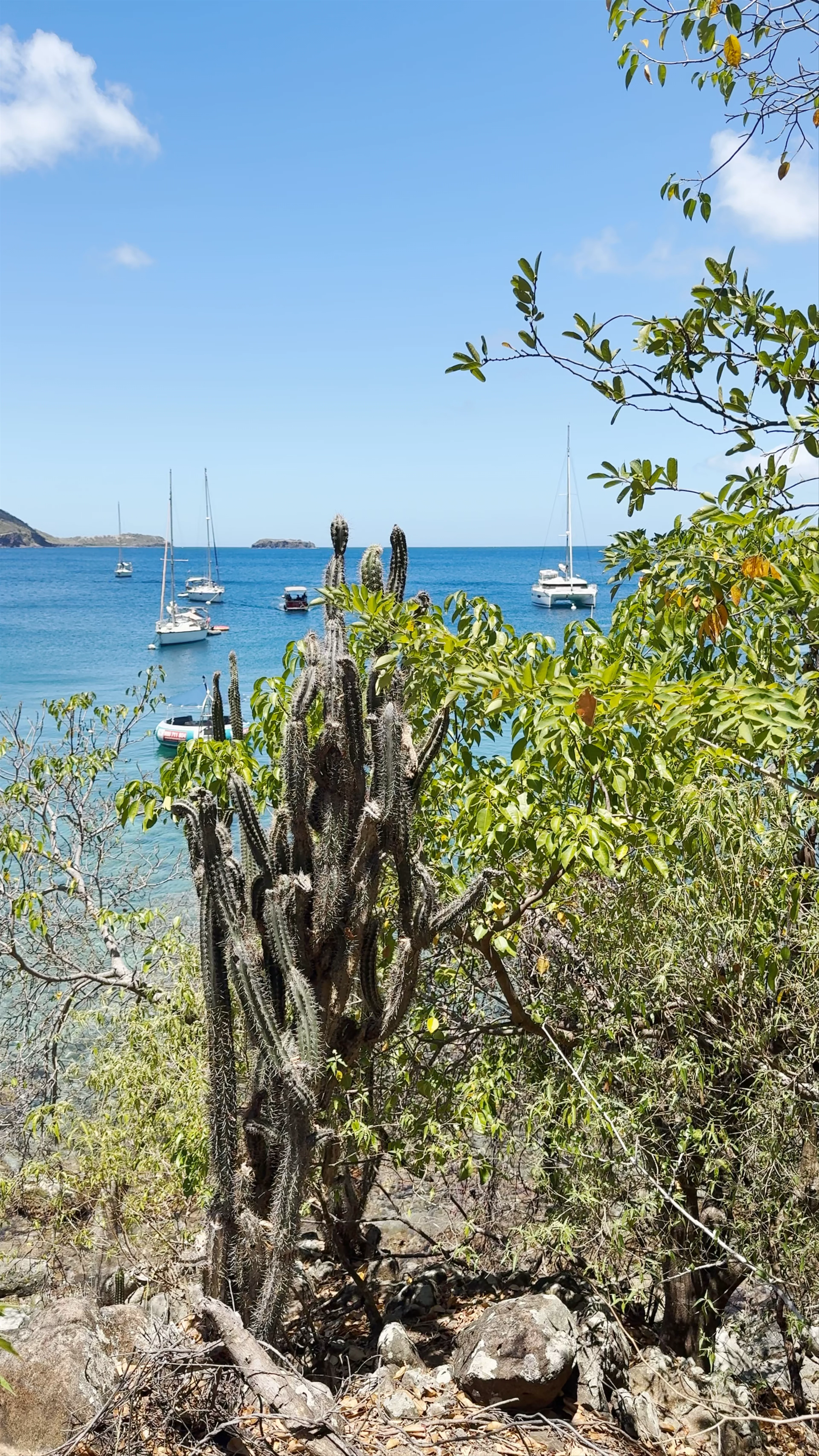 Capesterre-Belle-Eau