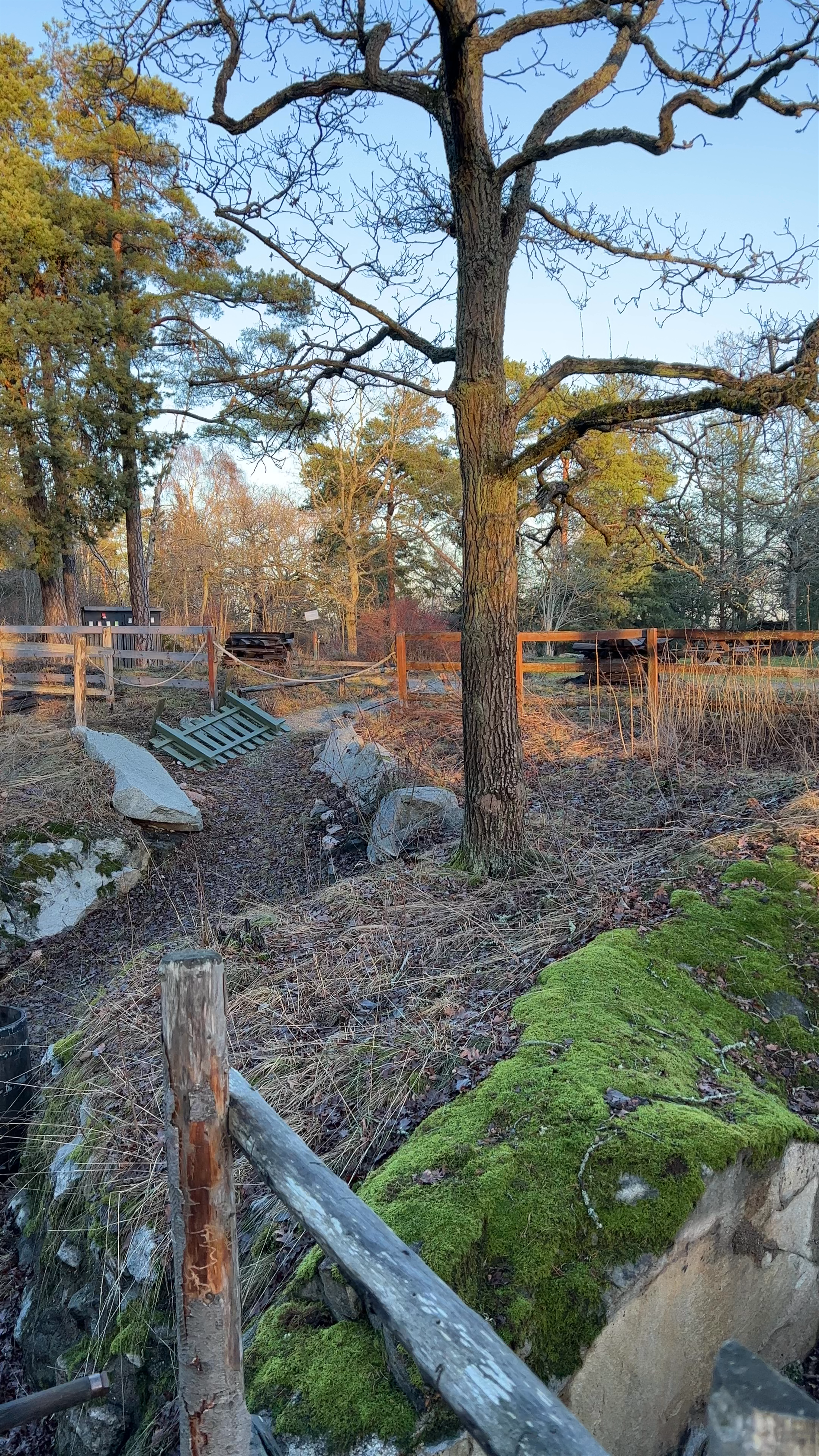 Skansen