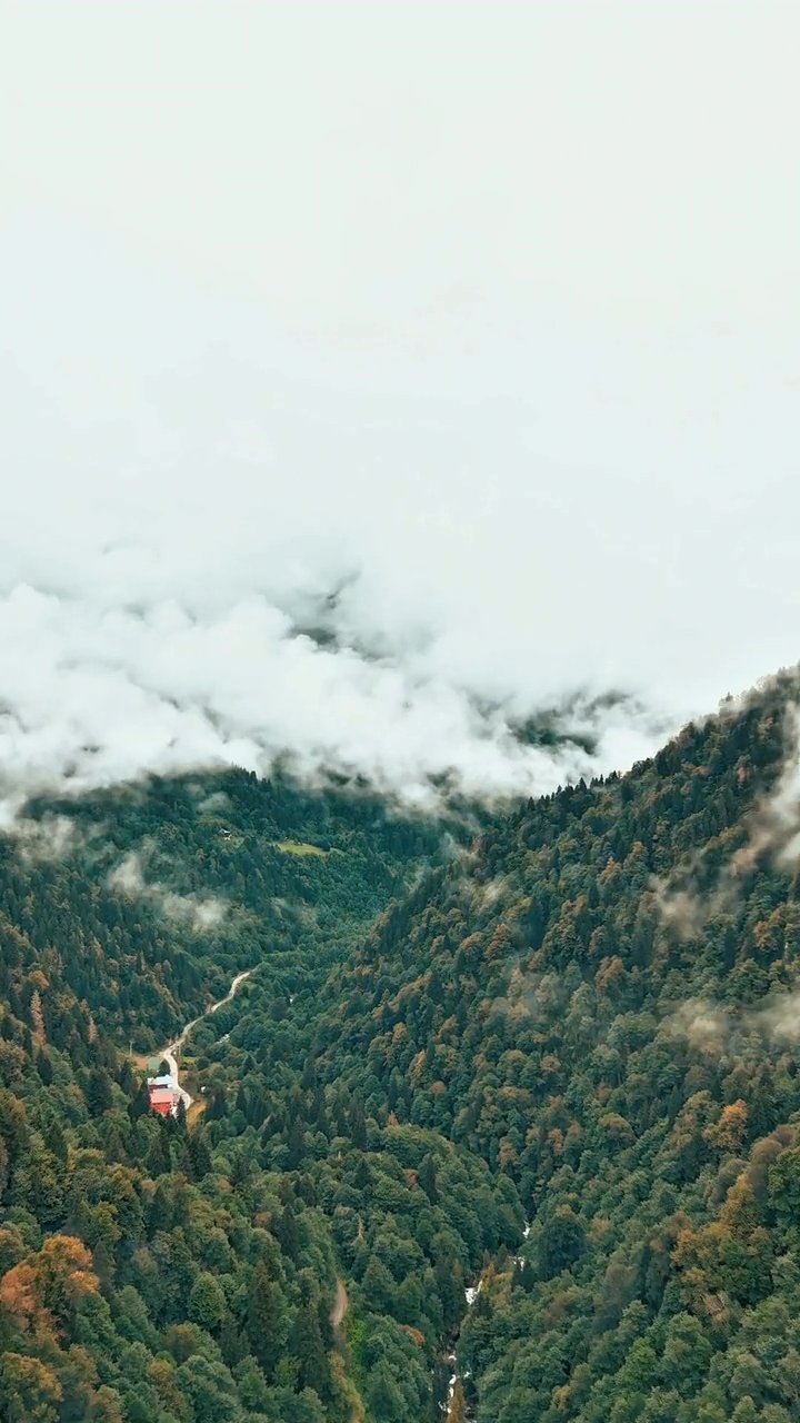 add this to the bucket list ✈️
📍 Machu Picchu
🎥 Ahmet Mert · Pexels
#travel #wanderlust #nature #adventure #vacation