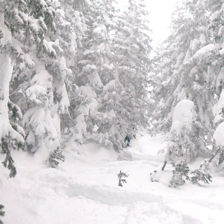 Man in Altitude Snow Shell 2.0 skiing down hill in deep snow