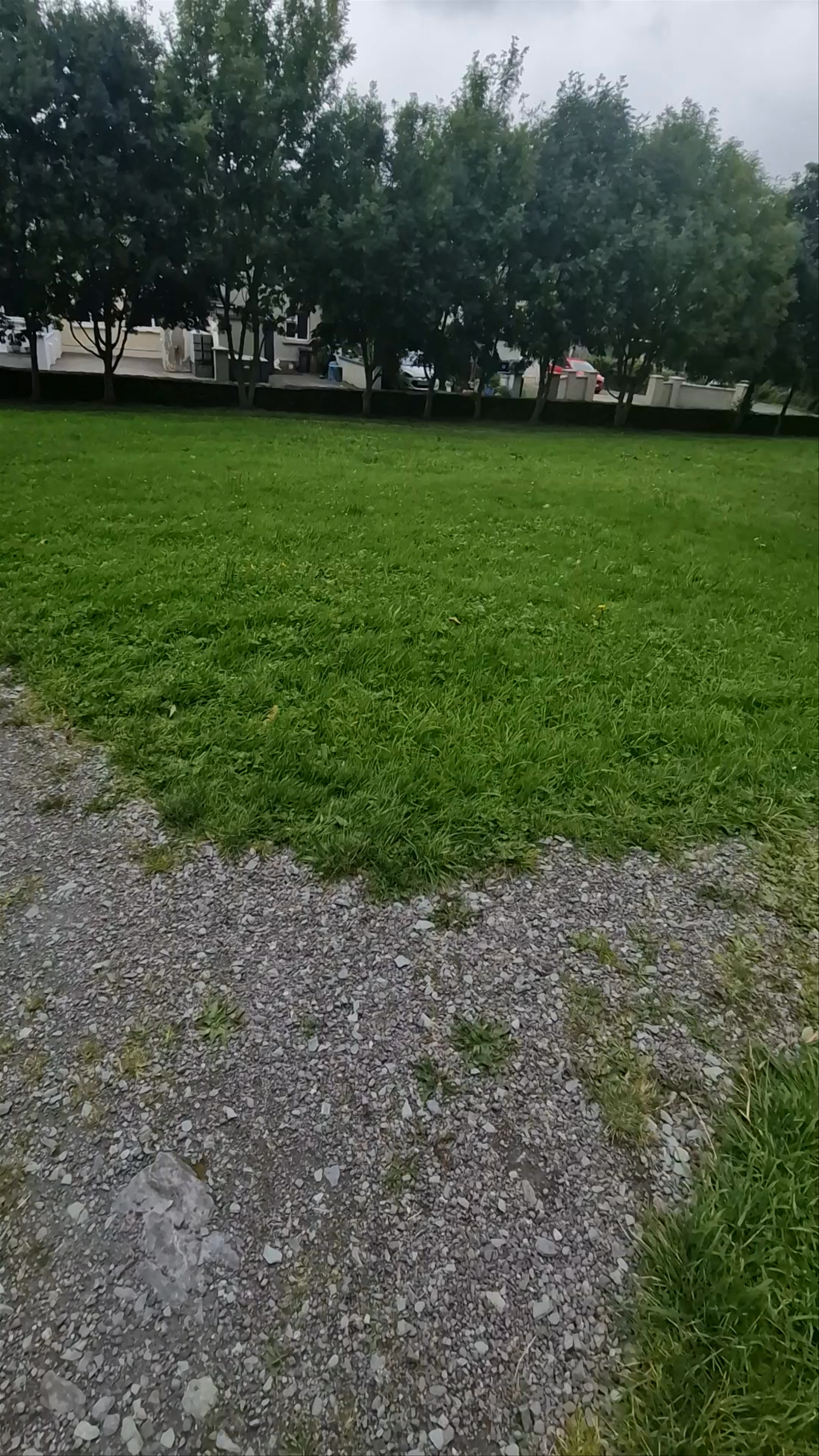 The Old Abbey of the Holy Cross