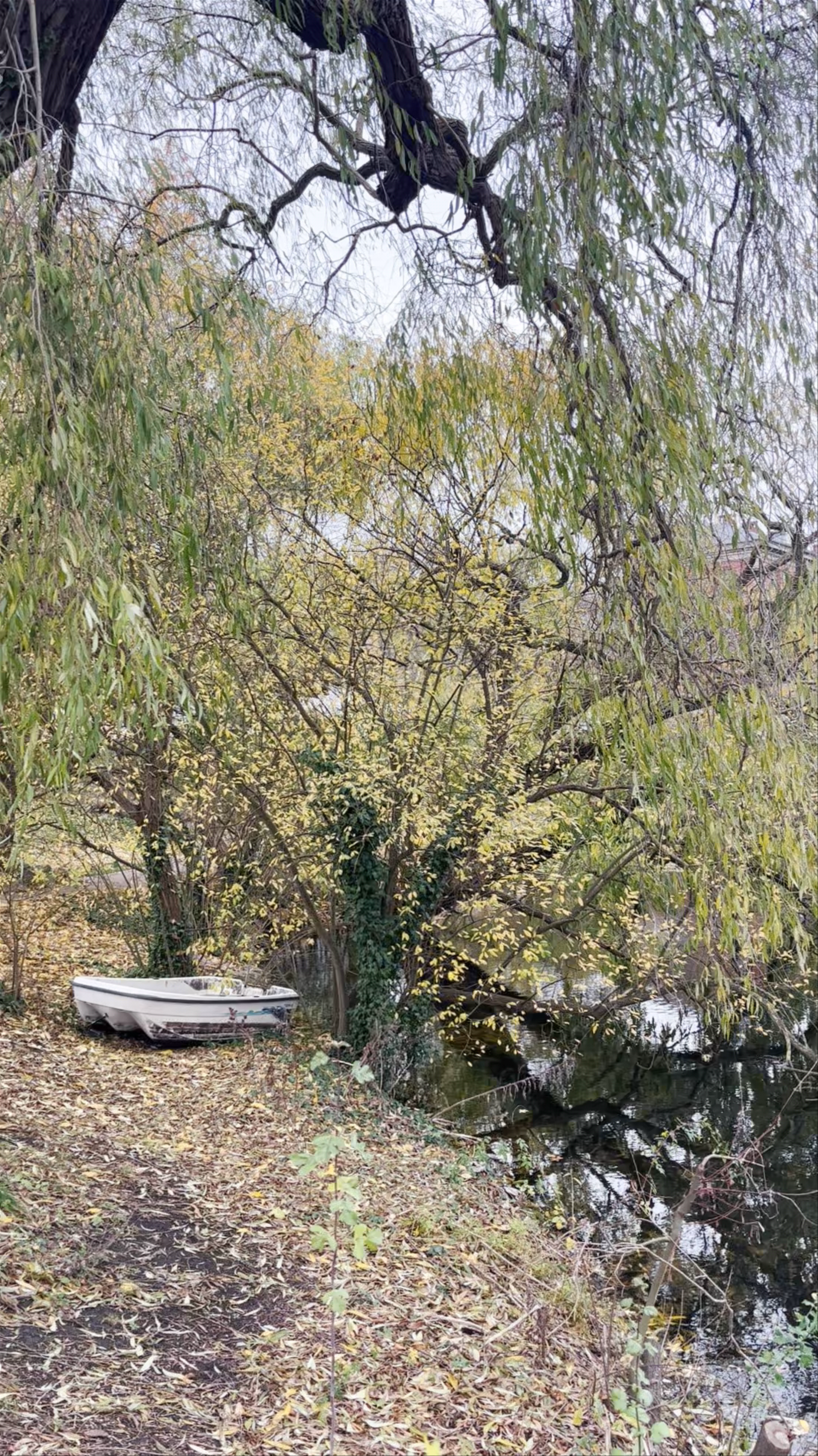 Botanical Garden