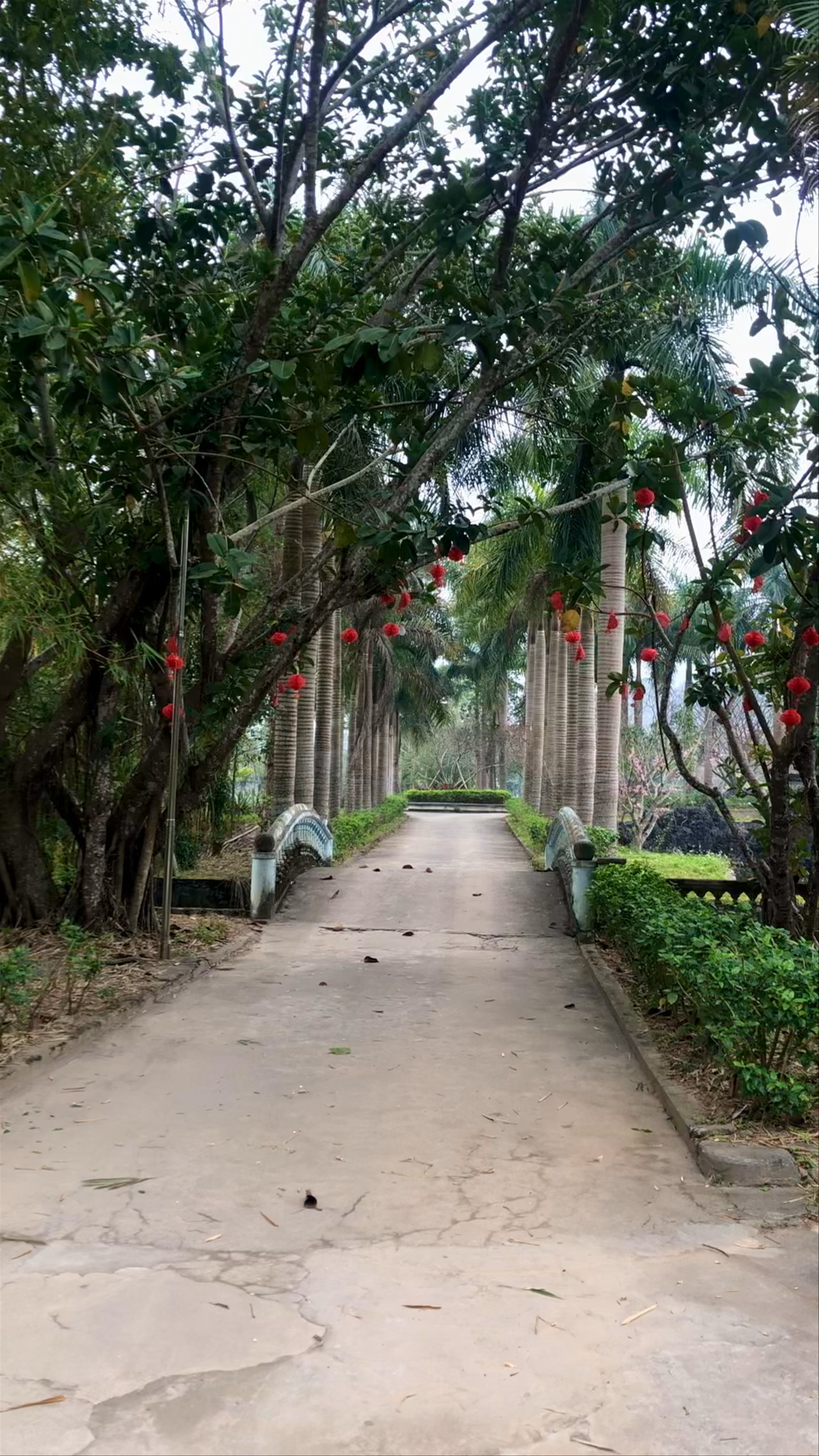 Tranquil Garden Walk at Thach Lam Vien, Ha Giang