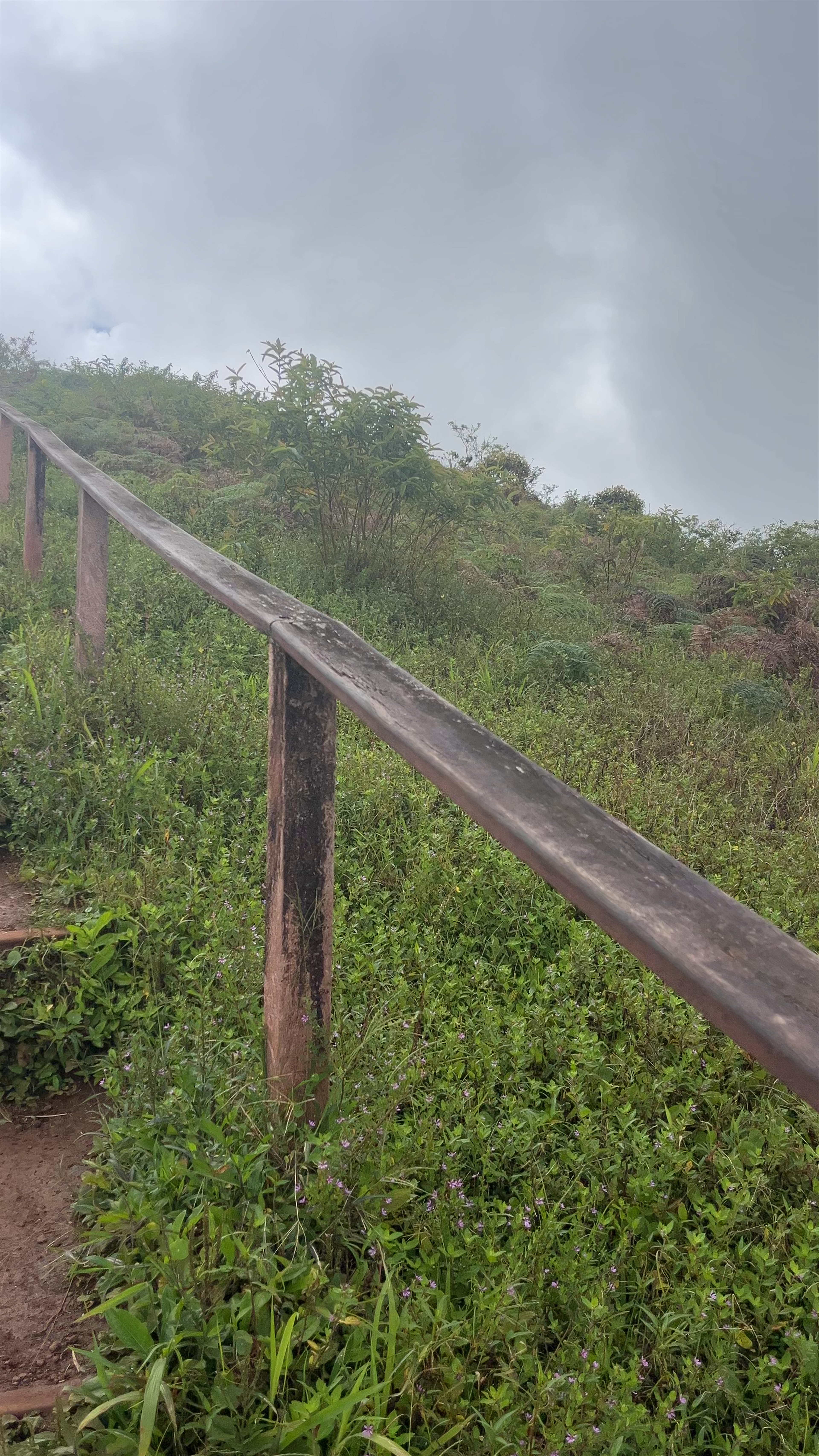 Exploring the Lush Highlands of Laguna El Junco, Ecuador