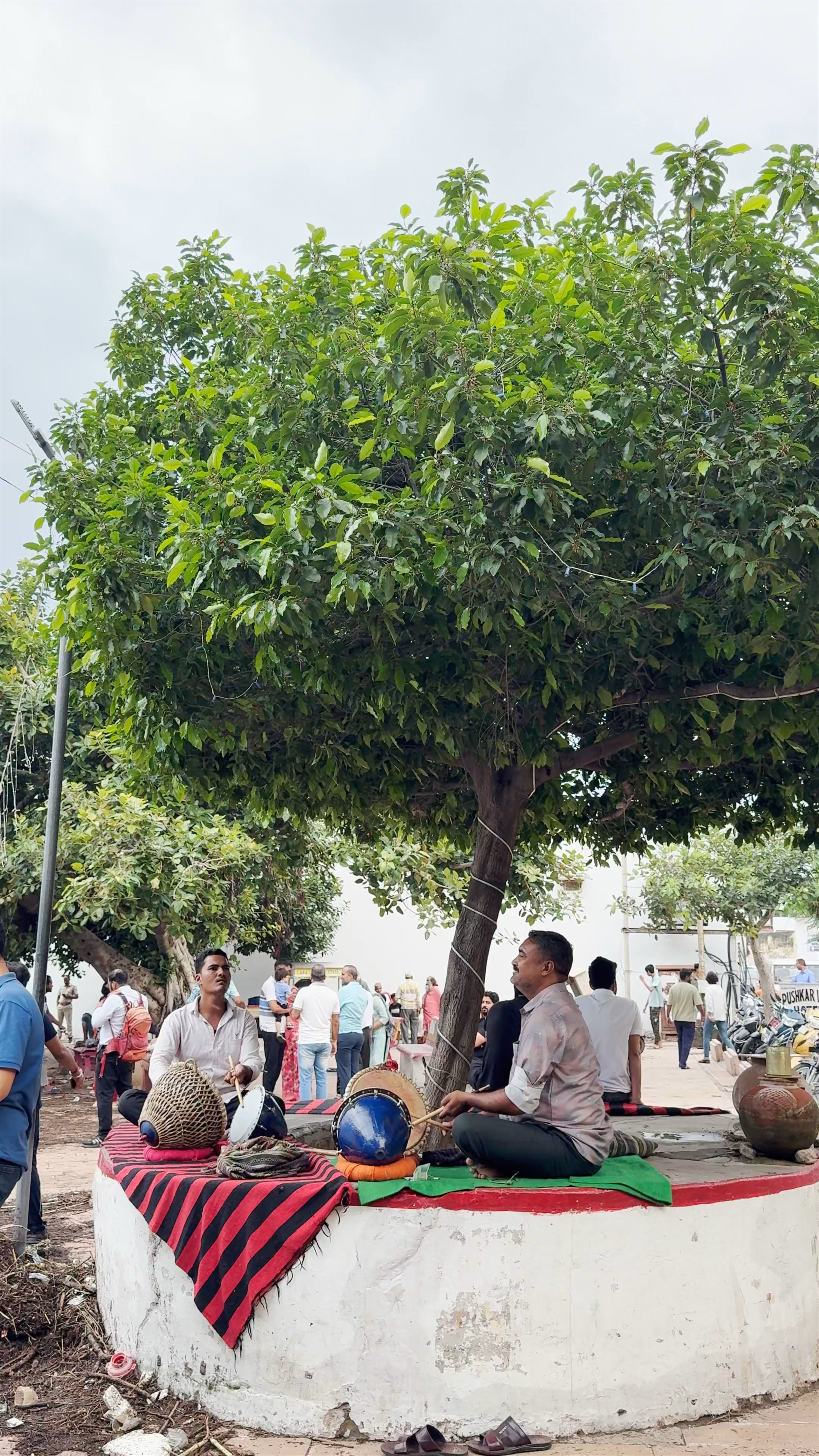 Jaipur ghat, pushkar