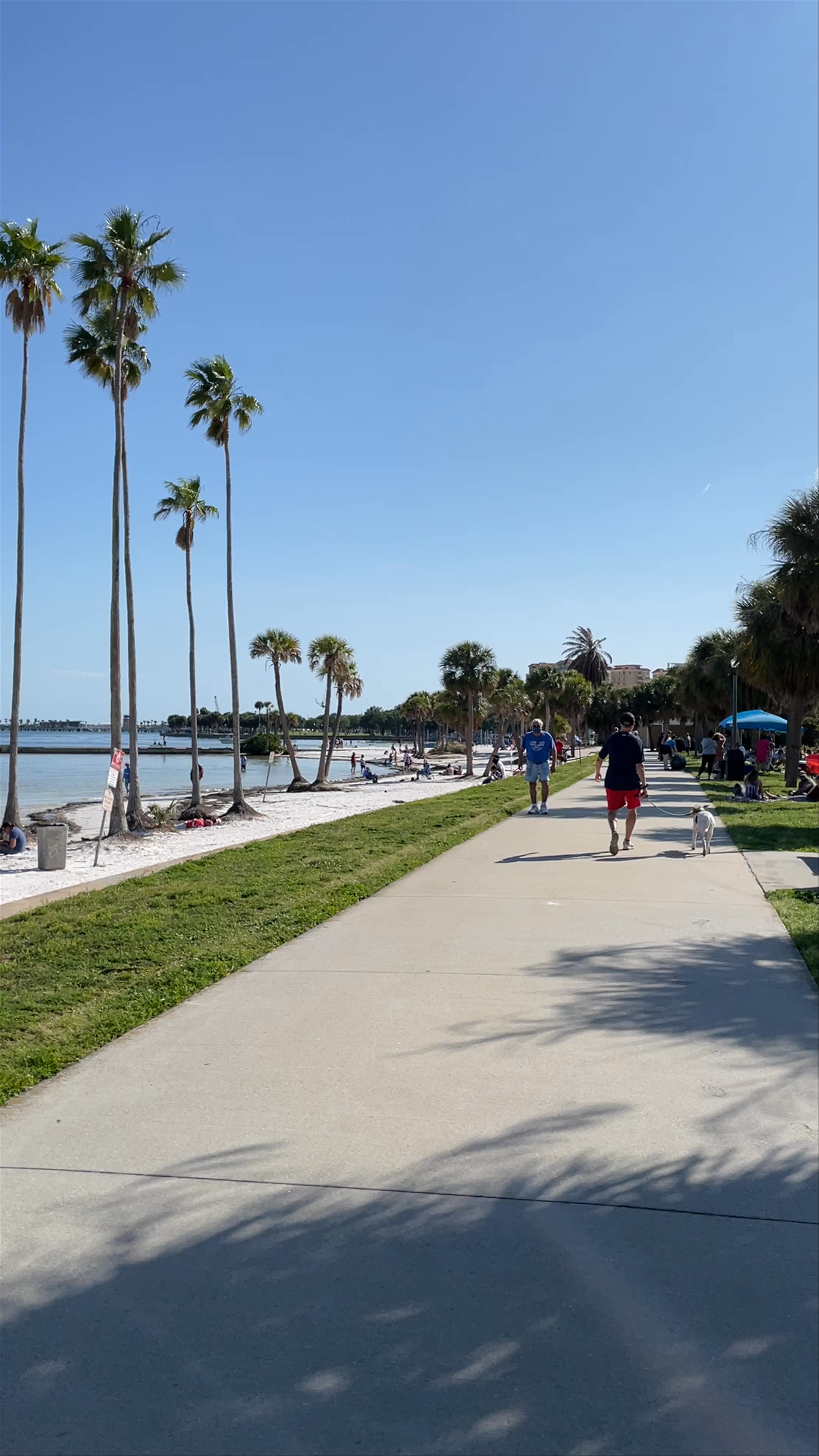Vinoy Park St. Petersburg: Bayshore Coastal Walk & Relaxation