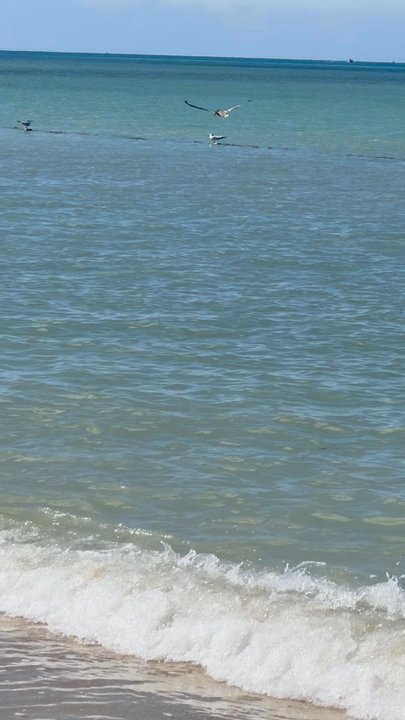 Combate Beach - Beaches Near Me - Boquerón, Puerto Rico