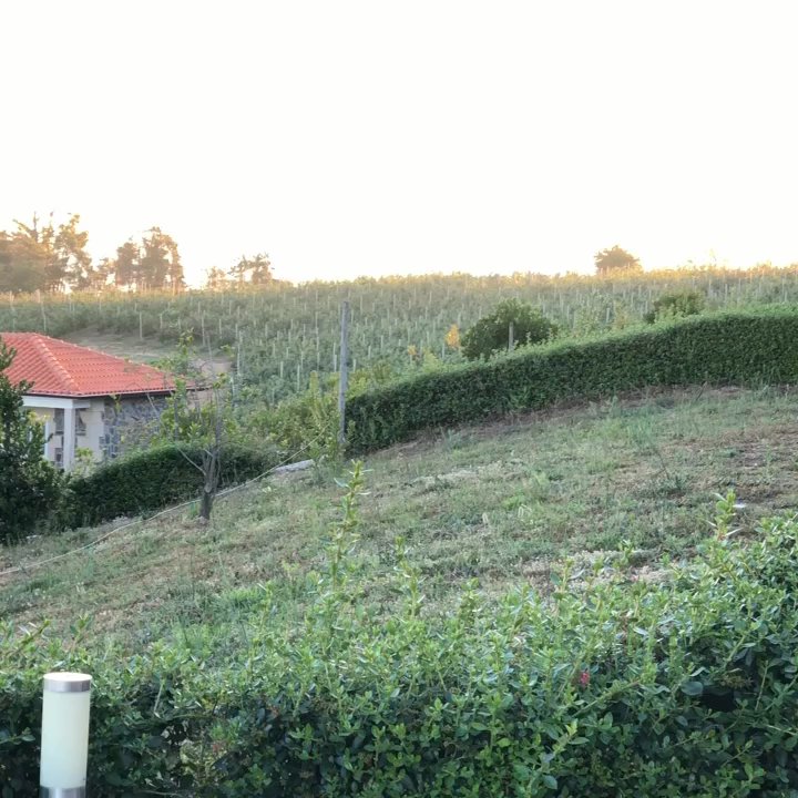 Quinta Barroca - Video from our room - Hotels Near Me - Armamar, 18
