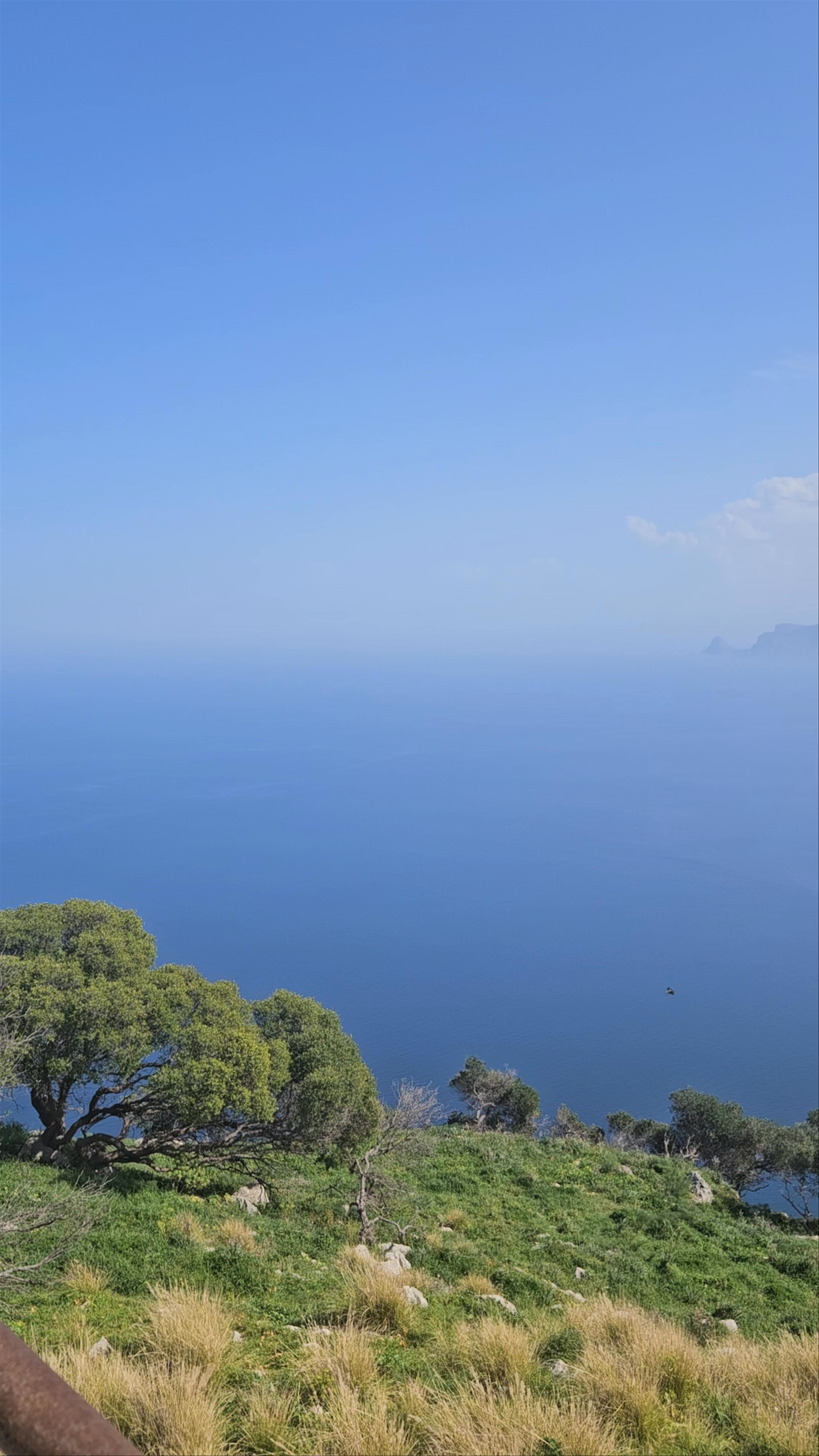 Belvedere di Monte Pellegrino