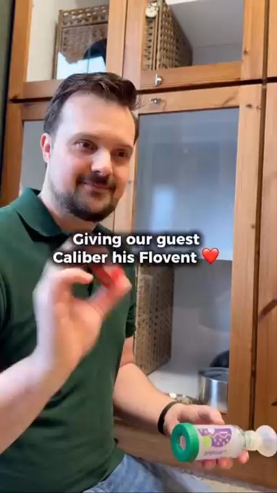 Whiskers Lodge - John giving Caliber his daily Flovent inhaler! - Pet Boarding Near Me - Seattle, Washington