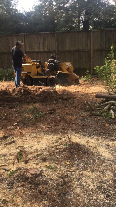 Your Sawlution Tree Service - Tree Services Near Me - Spring, Texas