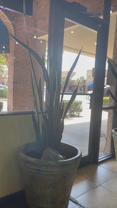 Tamalería Nuevo León - Mexican Near Me - Richardson, Texas