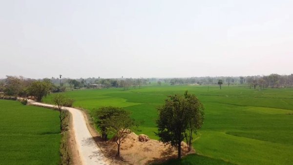 Photo of Unexplored gem SAMBA