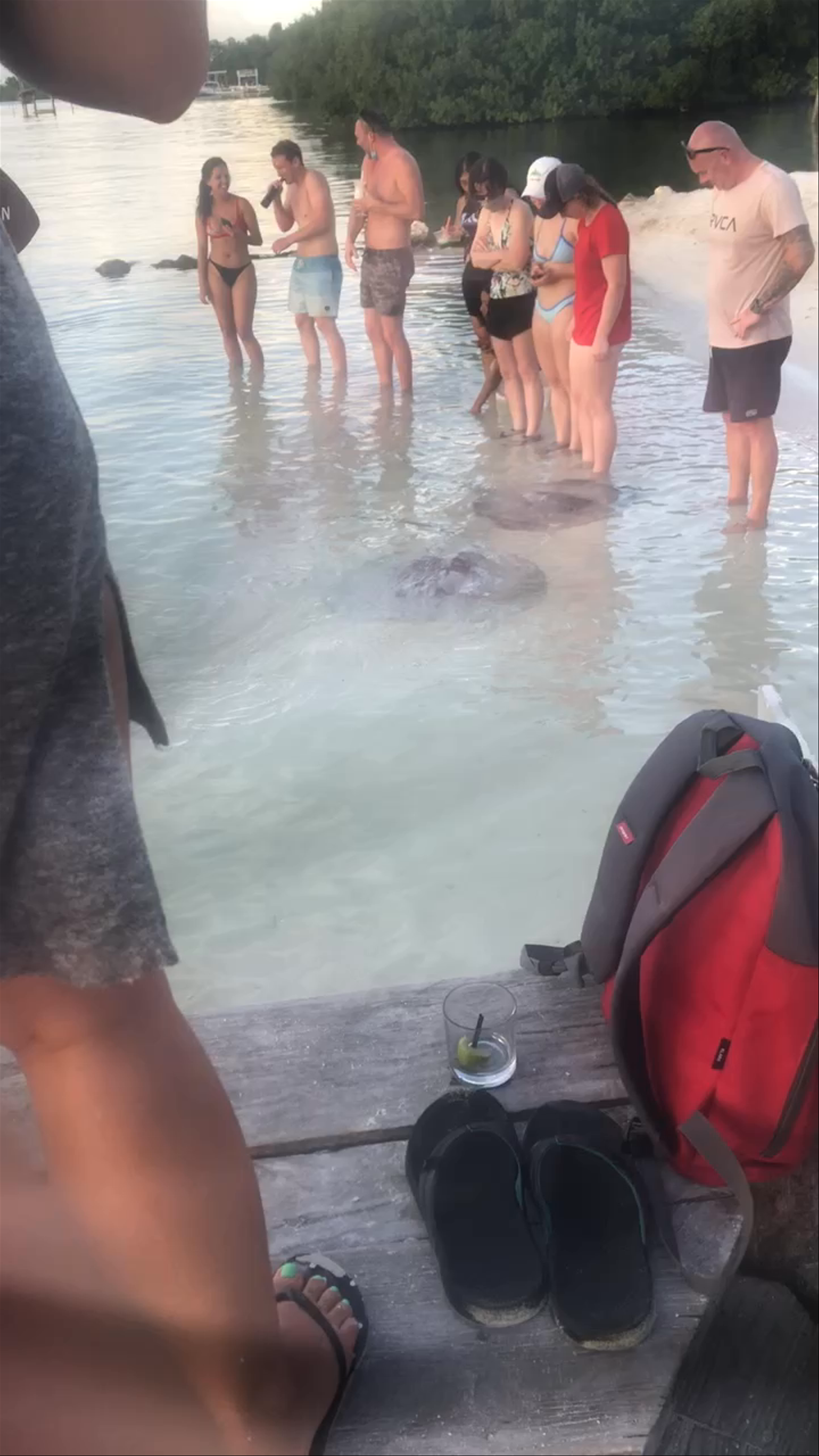 Stingrays on Caye Caulker 🇧🇿