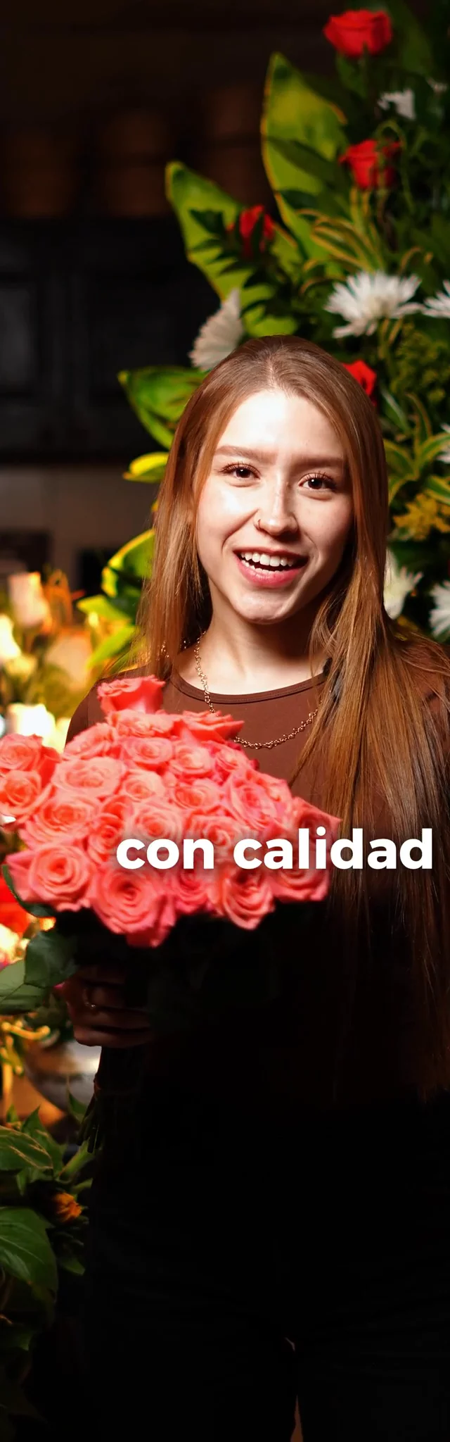 Contenido del creador