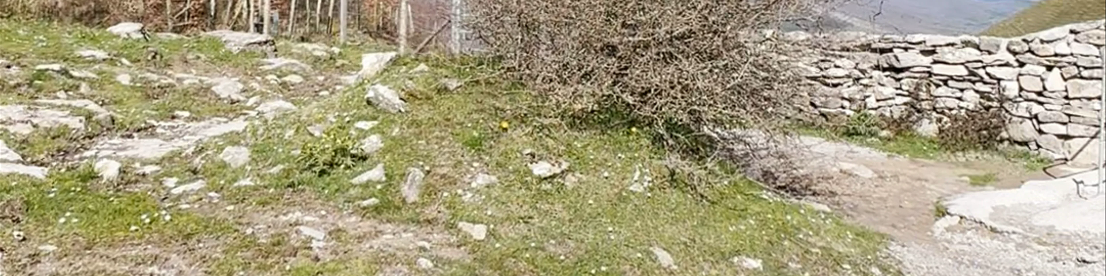Peña Moscadero