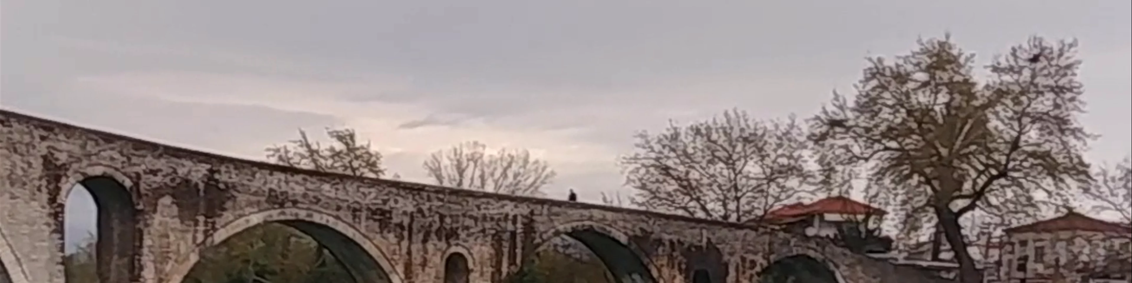 Arta's Bridge