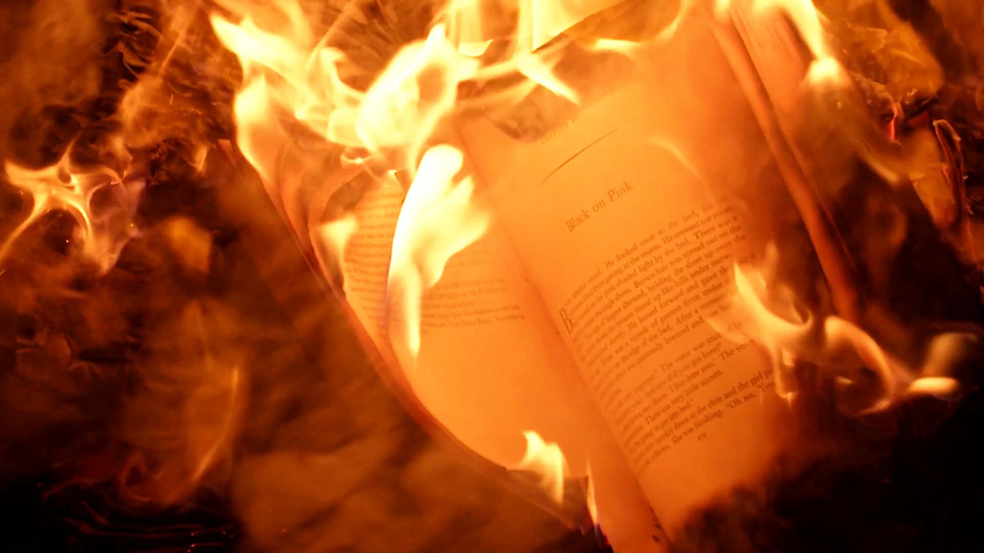 Pages by Firelight