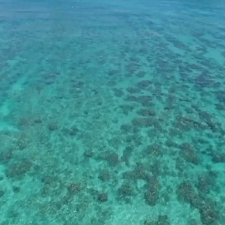 Drones In Hawaii - Marketing Near Me