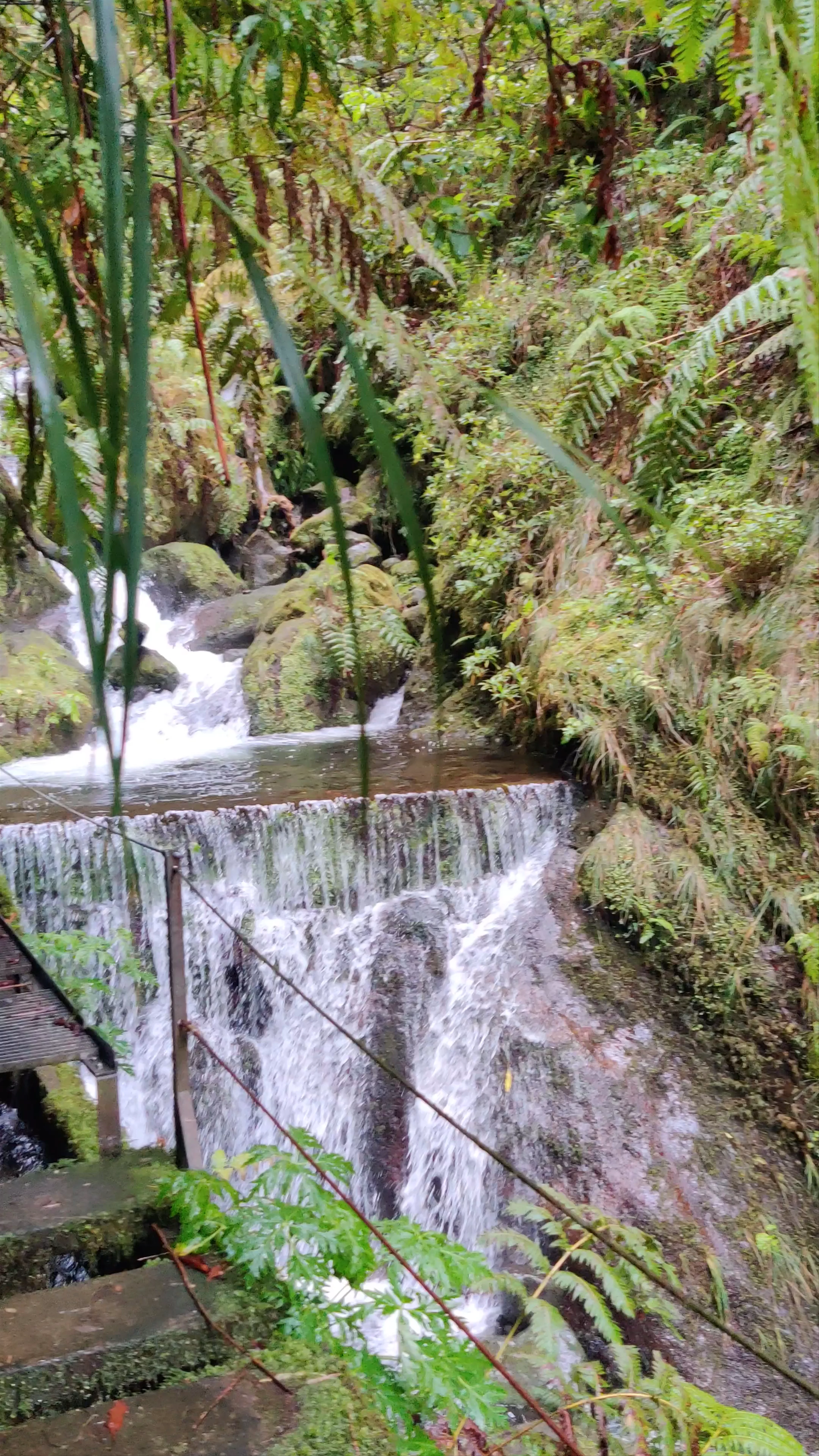 PR16 LLE Fonte Benémola (início)