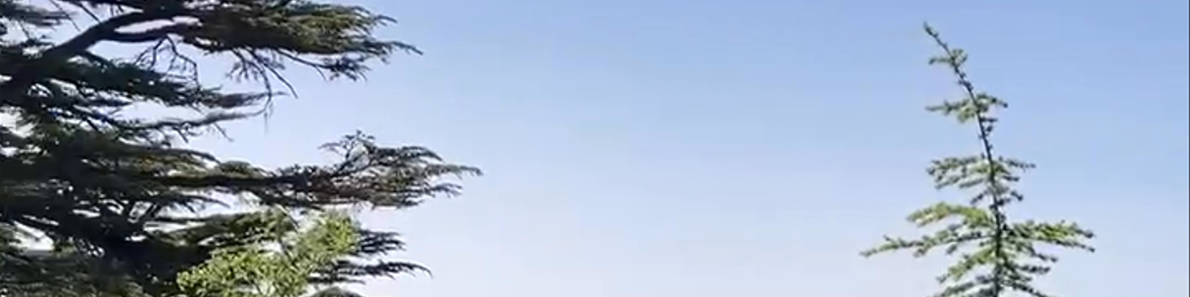 Tripoli